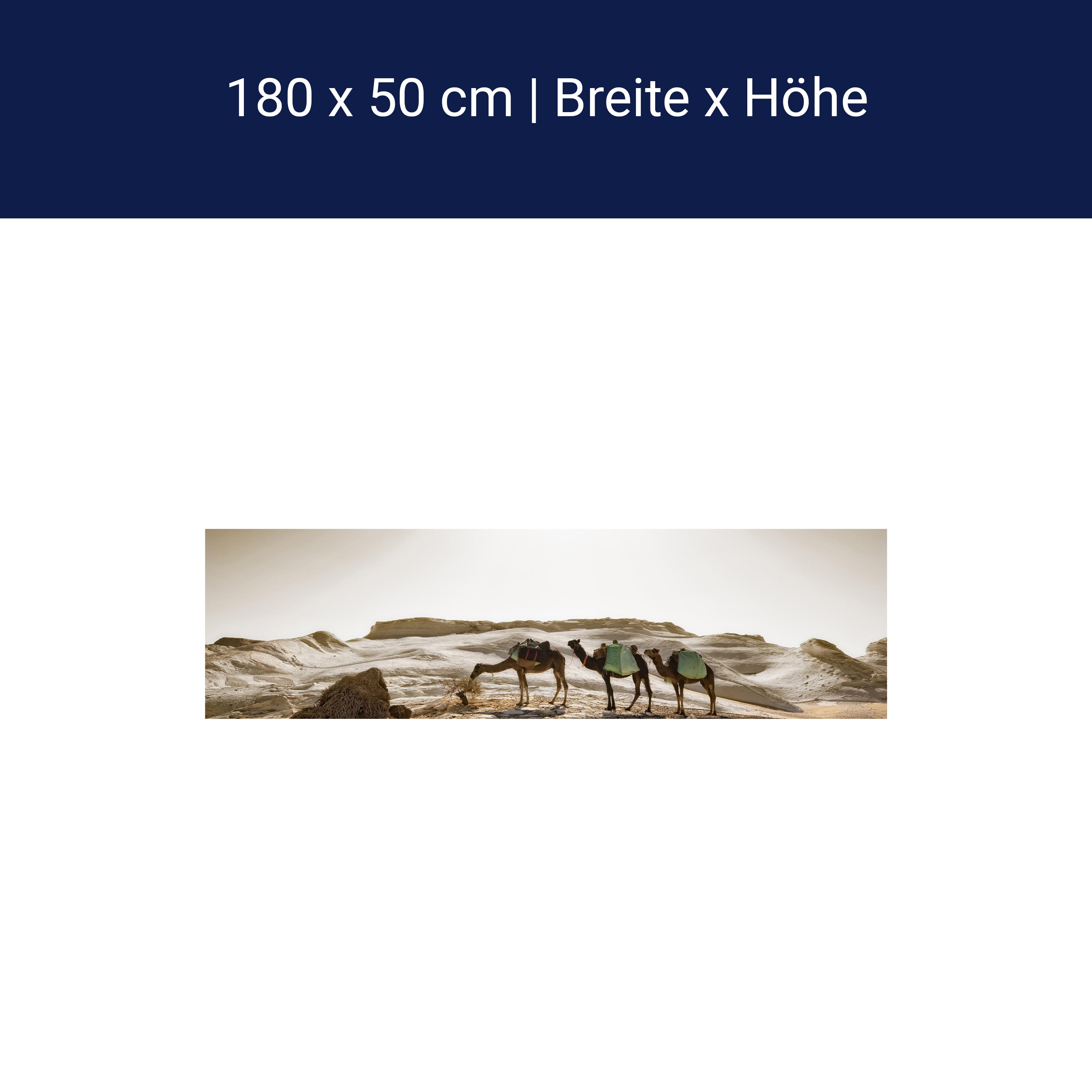 Küchenrückwand Karavane M0343 Küchenrückwand Karavane M0343