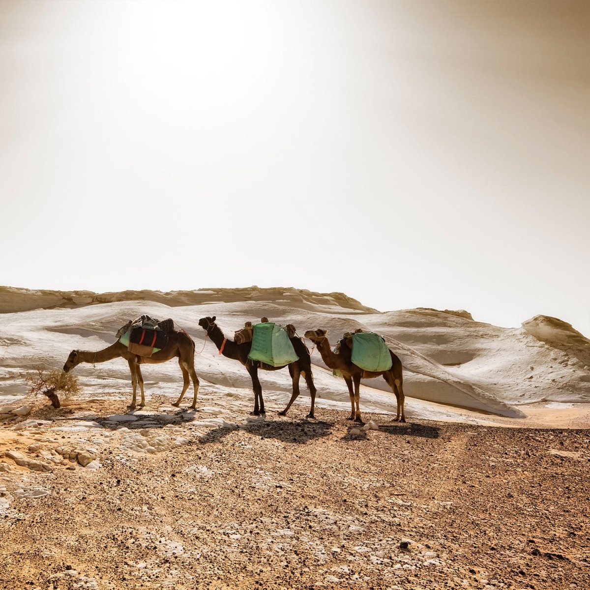 Beistelltisch Karavane M0343 entdecken - Bild 2 Beistelltisch Karavane M0343 entdecken - Bild 2