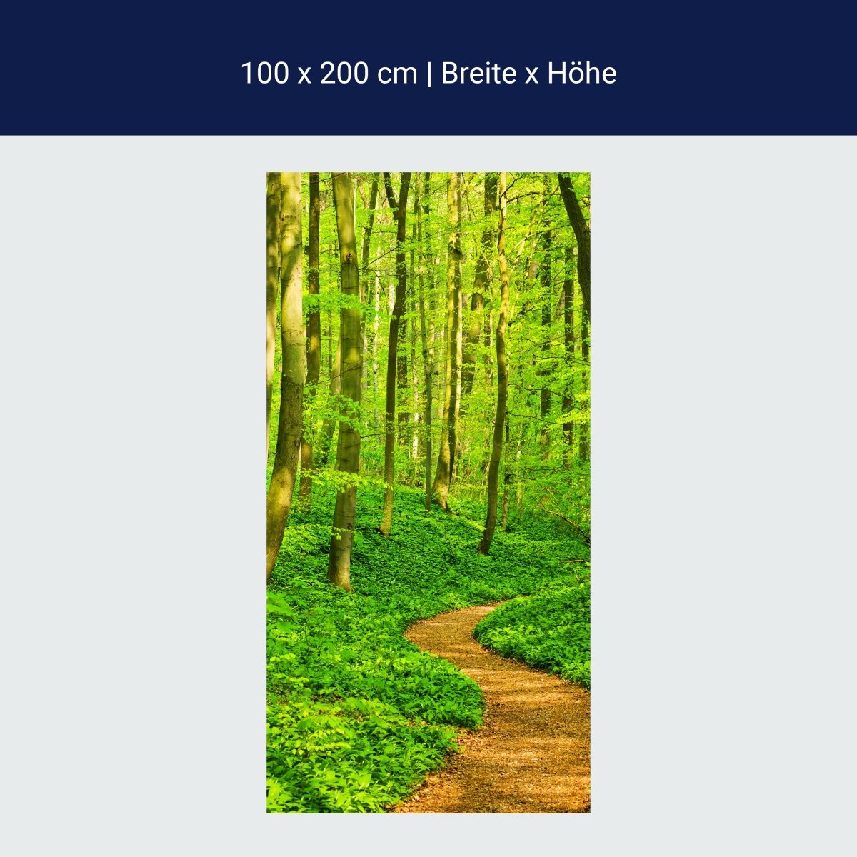 Duschwand Waldpfad M0345 Duschwand Waldpfad M0345