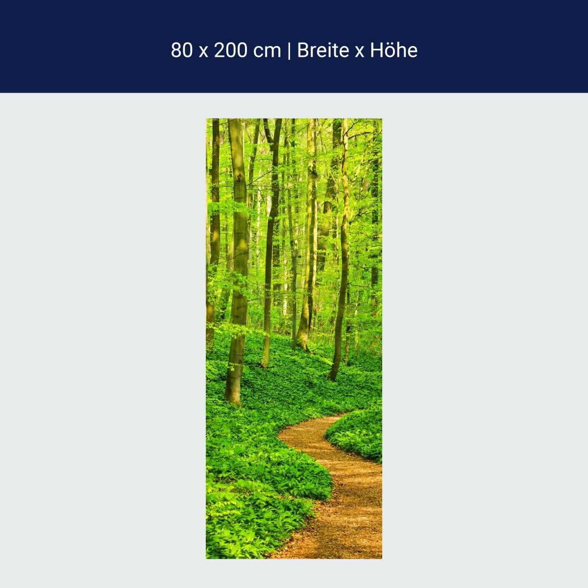 Duschwand Waldpfad M0345 Duschwand Waldpfad M0345