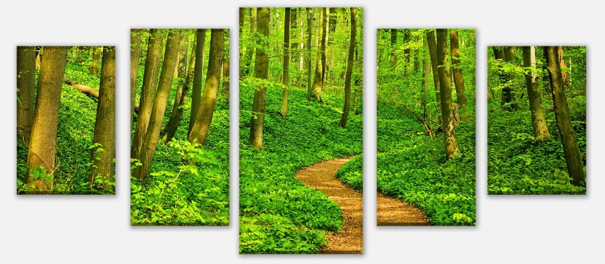 Leinwandbild Mehrteiler Waldpfad M0345 entdecken - Bild 1 Leinwandbild Mehrteiler Waldpfad M0345 entdecken - Bild 1