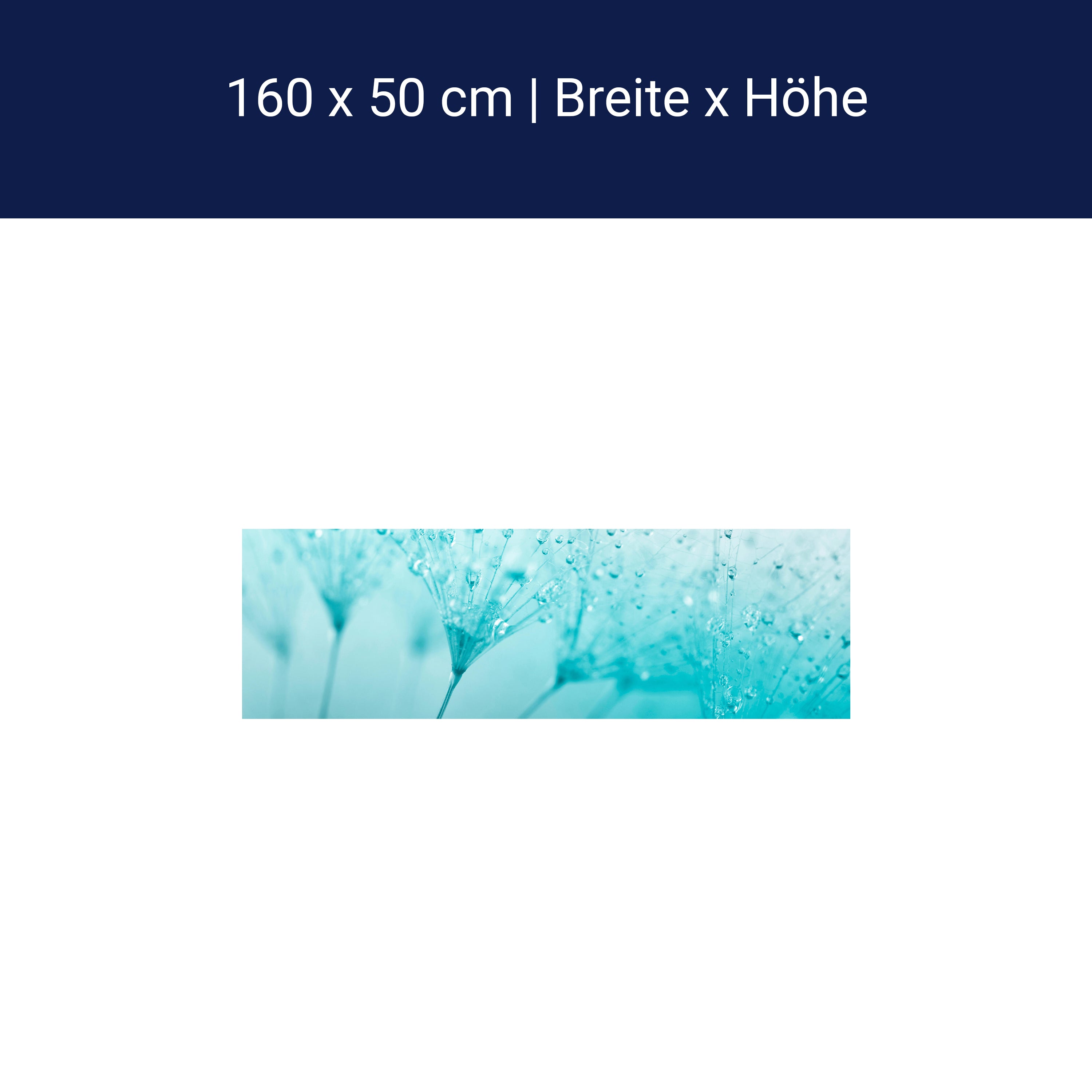 Küchenrückwand Pusteblume Türkis M0347 Küchenrückwand Pusteblume Türkis M0347
