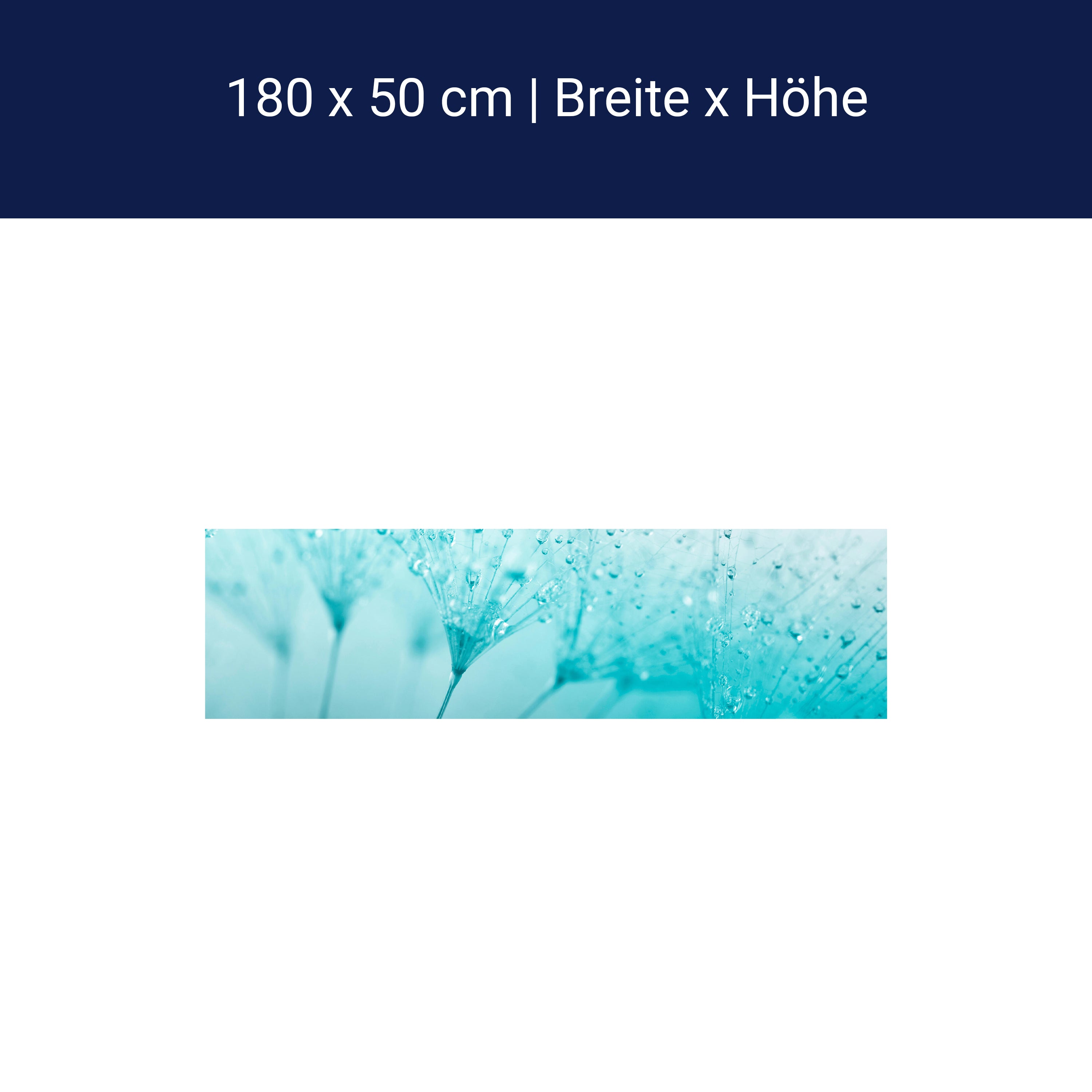 Küchenrückwand Pusteblume Türkis M0347 Küchenrückwand Pusteblume Türkis M0347