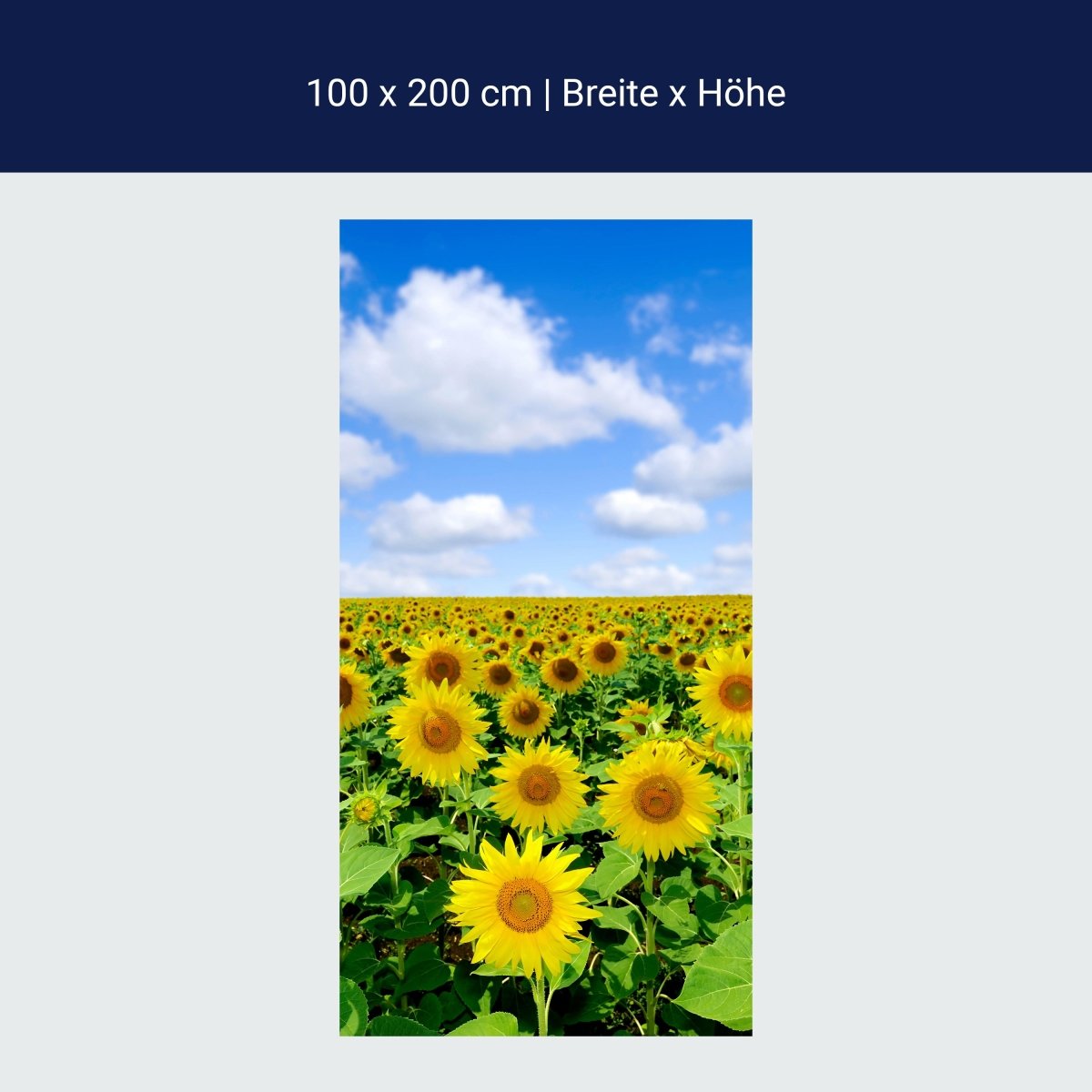 Duschwand Sonnenblumenfeld M0348 Duschwand Sonnenblumenfeld M0348