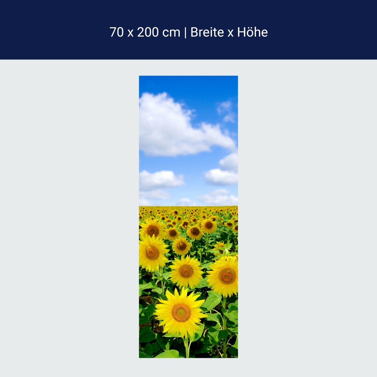 Duschwand Sonnenblumenfeld M0348 Duschwand Sonnenblumenfeld M0348