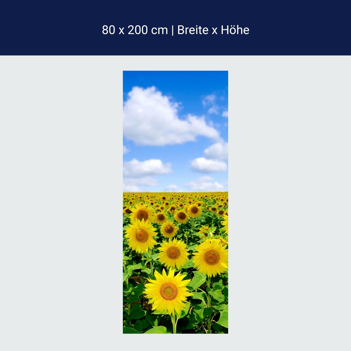 Duschwand Sonnenblumenfeld M0348 Duschwand Sonnenblumenfeld M0348