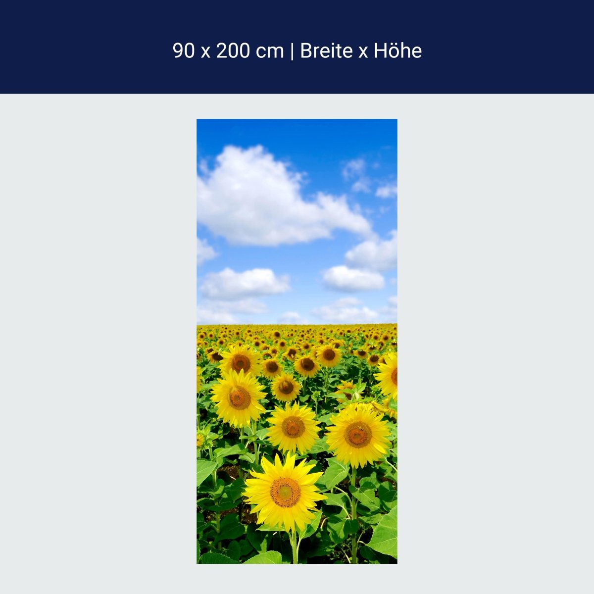 Duschwand Sonnenblumenfeld M0348 Duschwand Sonnenblumenfeld M0348