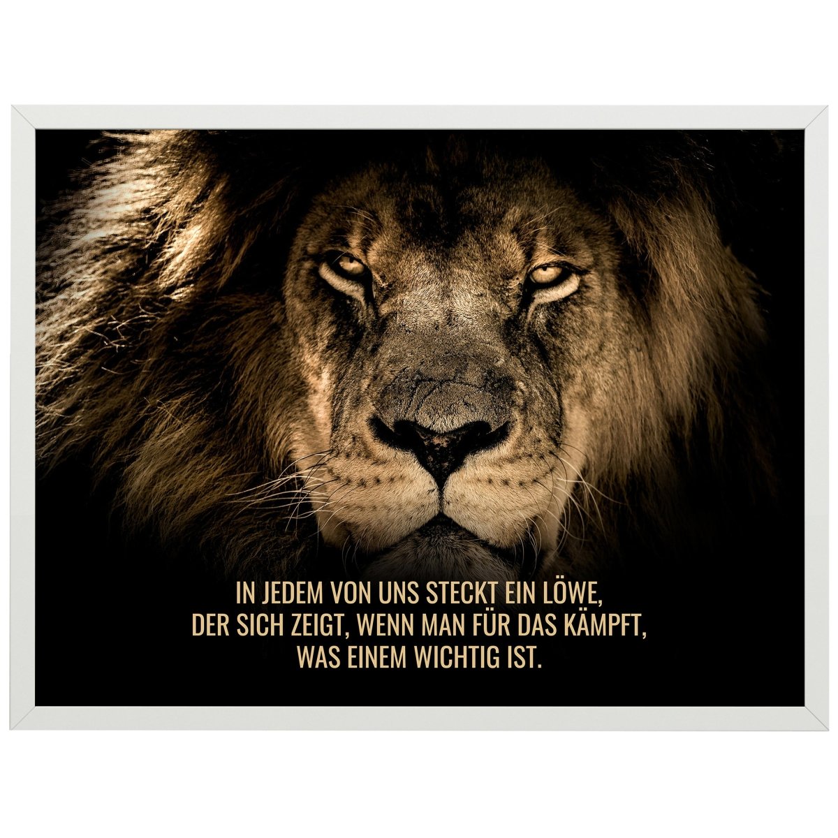 wandmotiv24 Poster, Poster - Motivation, Spruch, Löwe - M0348 - Bild 1 wandmotiv24 Poster, Poster - Motivation, Spruch, Löwe - M0348 - Bild 1