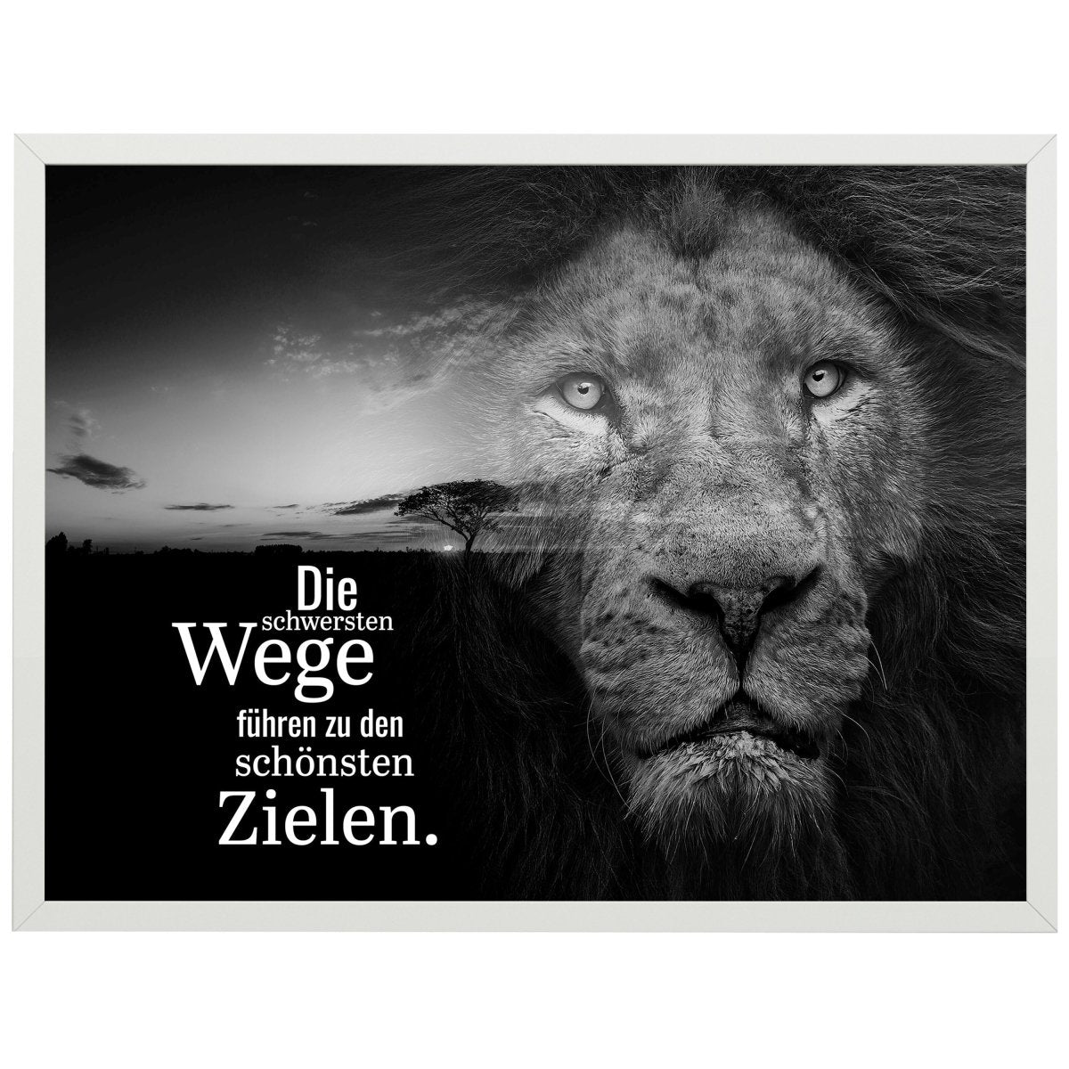 wandmotiv24 Poster, Poster - Motivation, Spruch, Löwe - M0351 - Bild 1 wandmotiv24 Poster, Poster - Motivation, Spruch, Löwe - M0351 - Bild 1