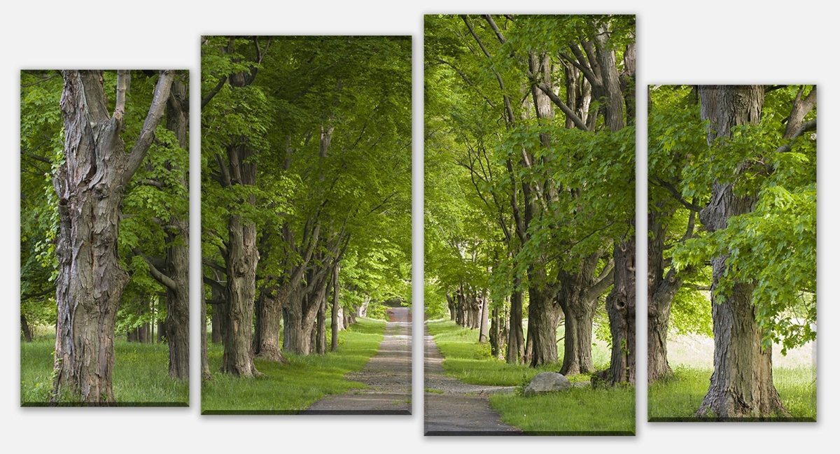 Leinwandbild Mehrteiler Sommerallee M0357 Leinwandbild Mehrteiler Sommerallee M0357