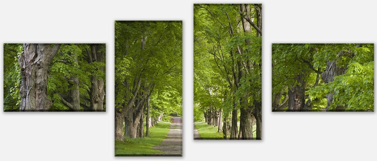 Leinwandbild Mehrteiler Sommerallee M0357 Leinwandbild Mehrteiler Sommerallee M0357