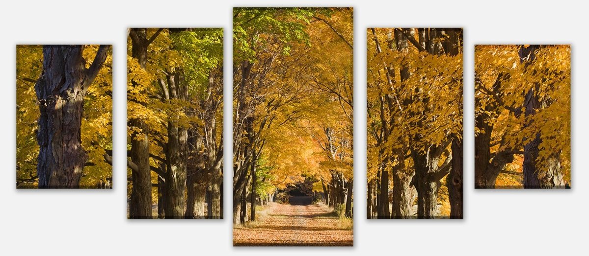 Leinwandbild Mehrteiler Herbstallee M0360 entdecken - Bild 1 Leinwandbild Mehrteiler Herbstallee M0360 entdecken - Bild 1