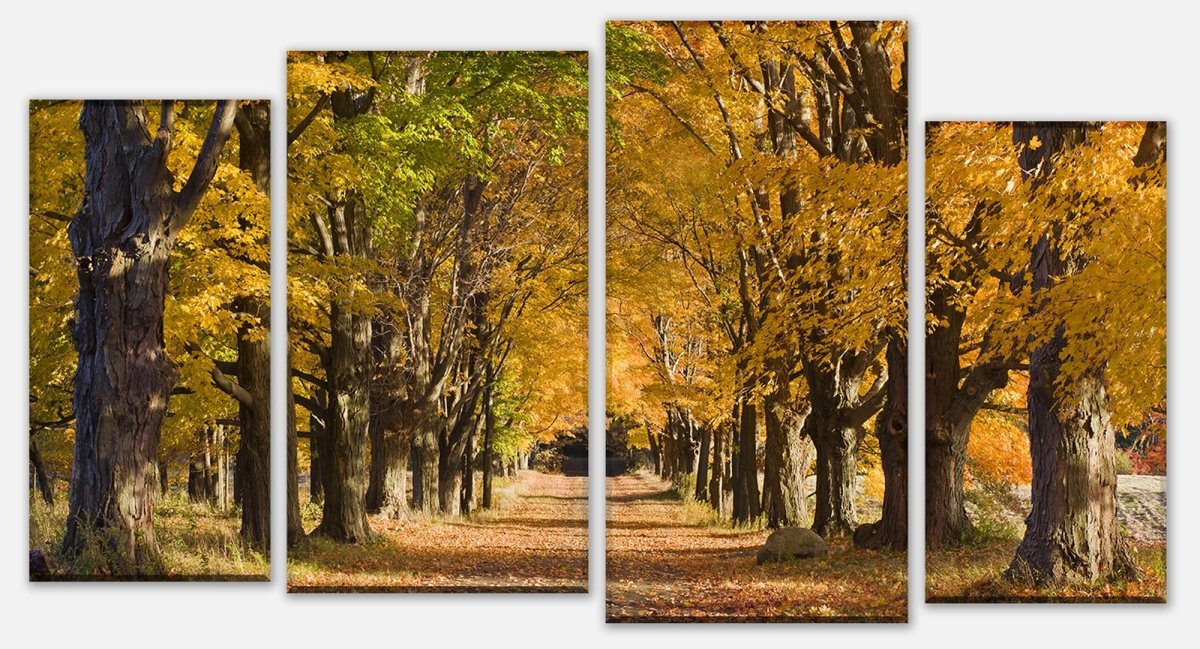 Leinwandbild Mehrteiler Herbstallee M0360 Leinwandbild Mehrteiler Herbstallee M0360