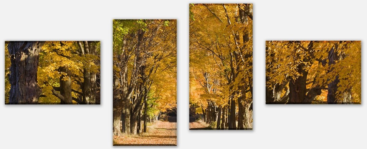 Leinwandbild Mehrteiler Herbstallee M0360 Leinwandbild Mehrteiler Herbstallee M0360