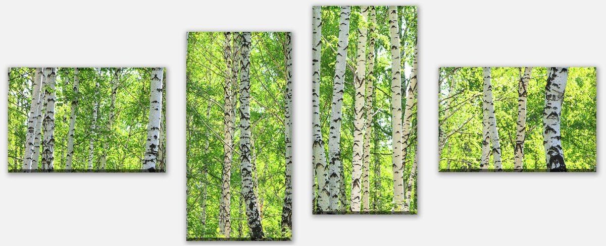 Leinwandbild Mehrteiler Birkenwald M0363 Leinwandbild Mehrteiler Birkenwald M0363