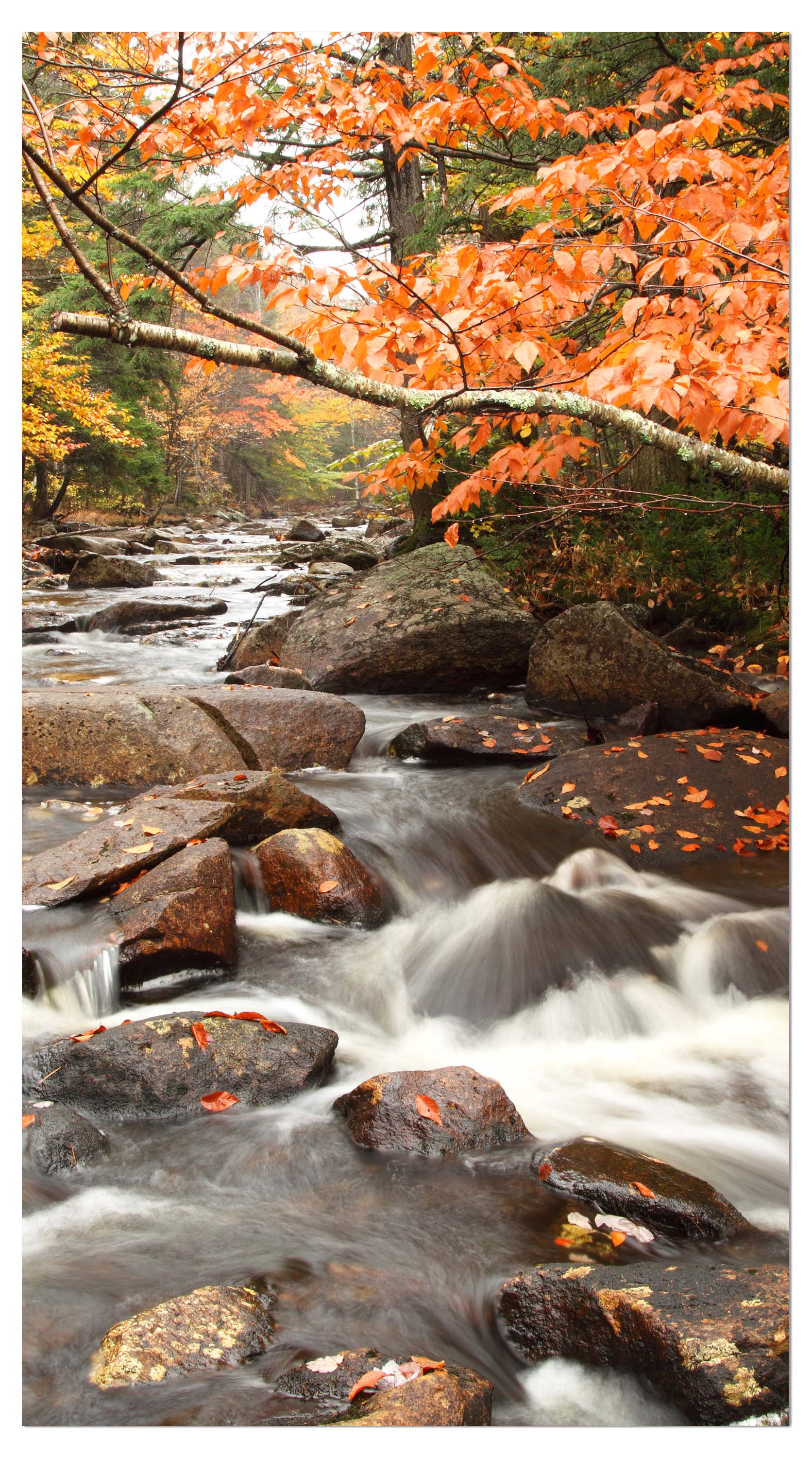 Garderobe Fluss im Herbst M0381 entdecken - Bild 4 Garderobe Fluss im Herbst M0381 entdecken - Bild 4