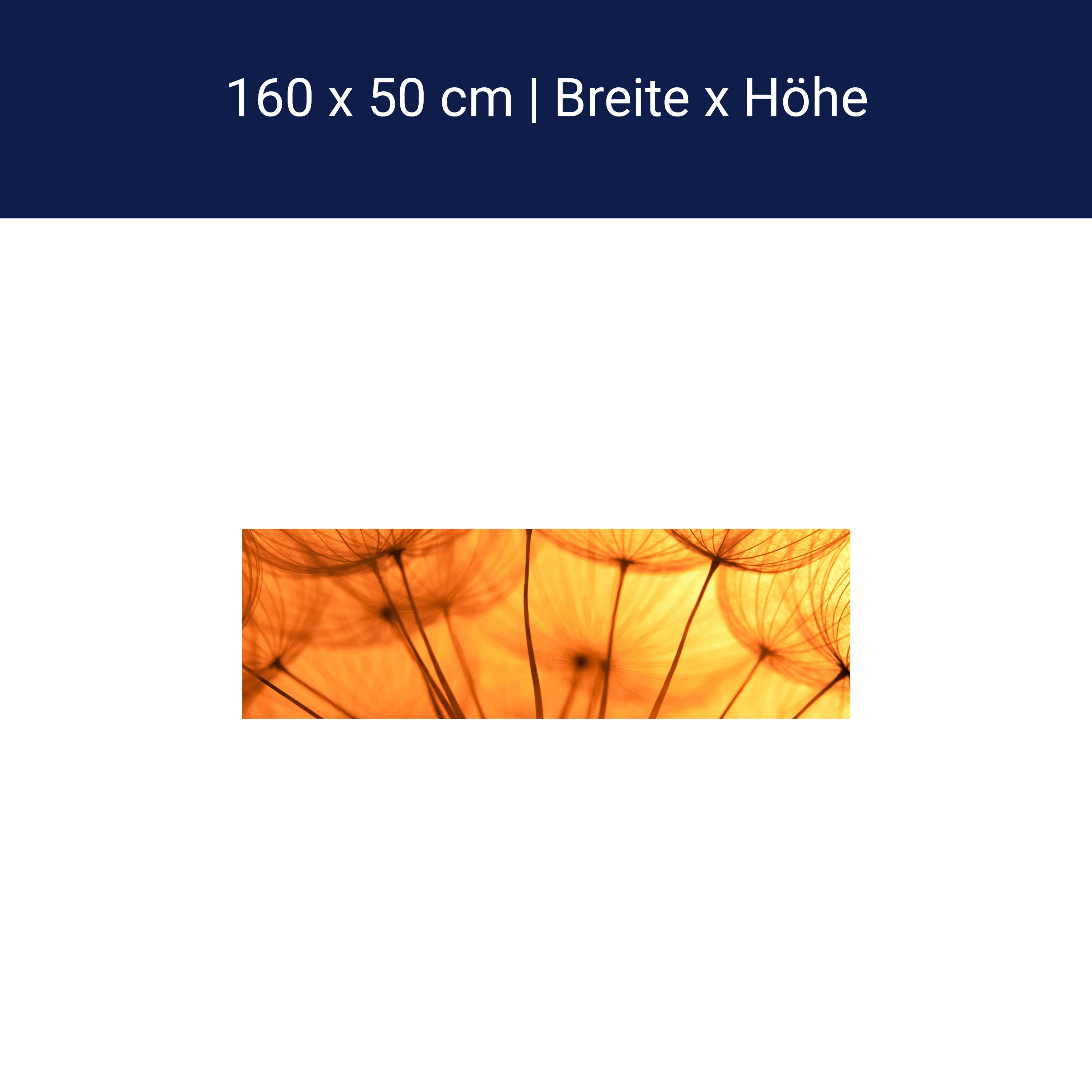 Küchenrückwand Pusteblume Orange M0390 Küchenrückwand Pusteblume Orange M0390