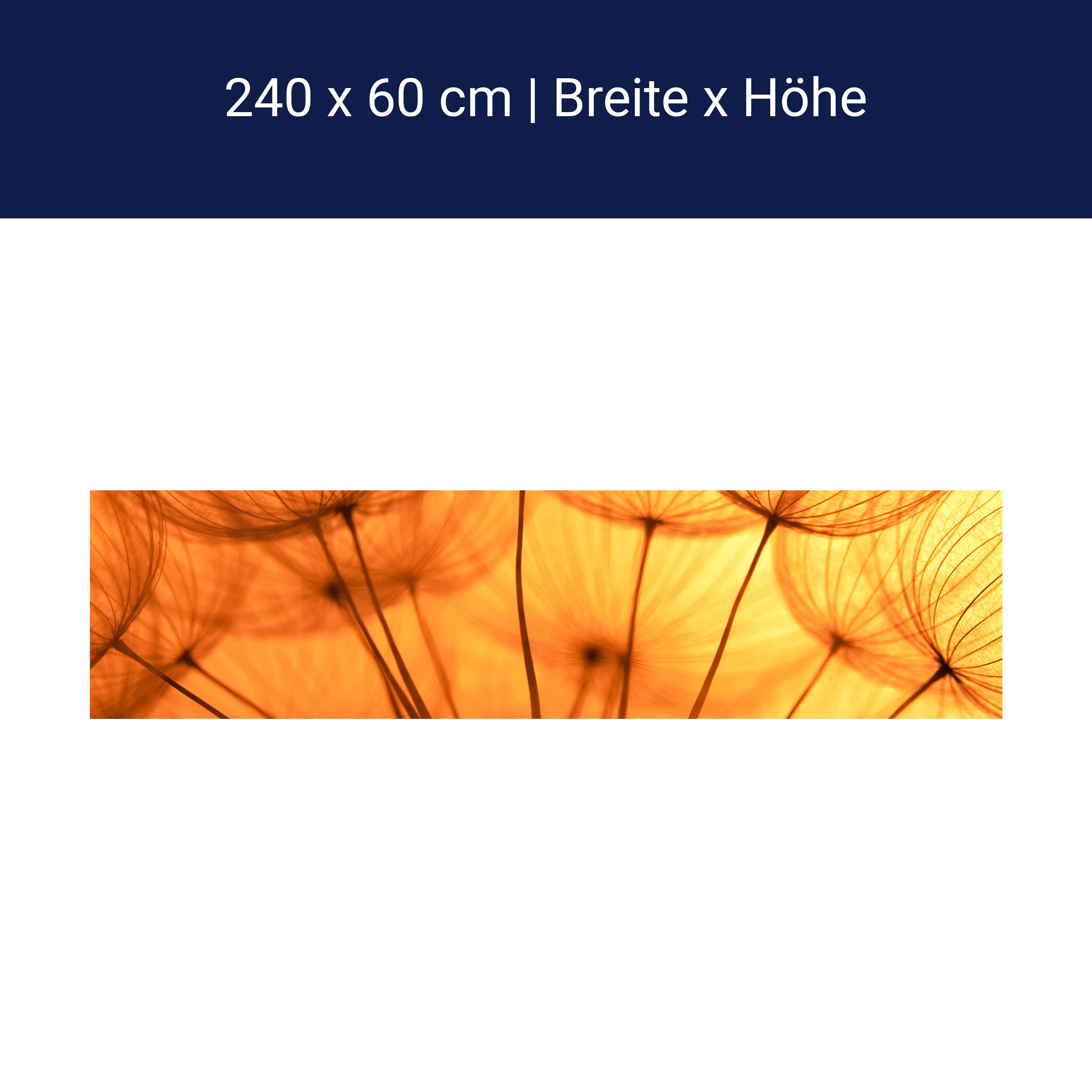 Küchenrückwand Pusteblume Orange M0390 Küchenrückwand Pusteblume Orange M0390