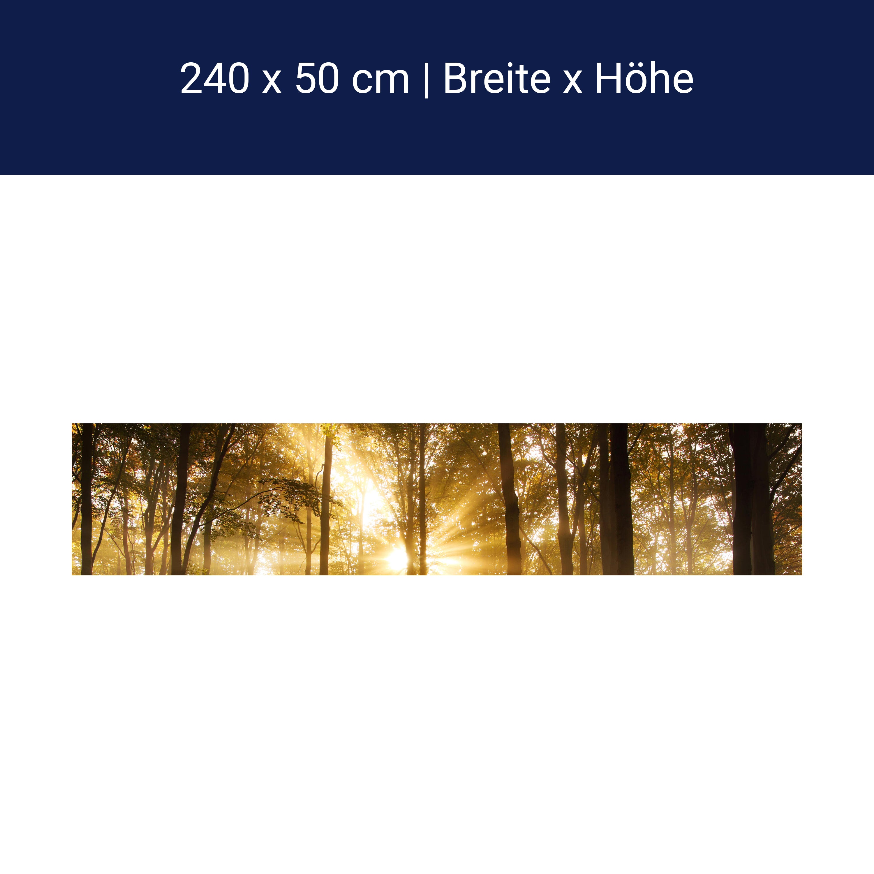 Küchenrückwand Wald am Morgen M0391 Küchenrückwand Wald am Morgen M0391