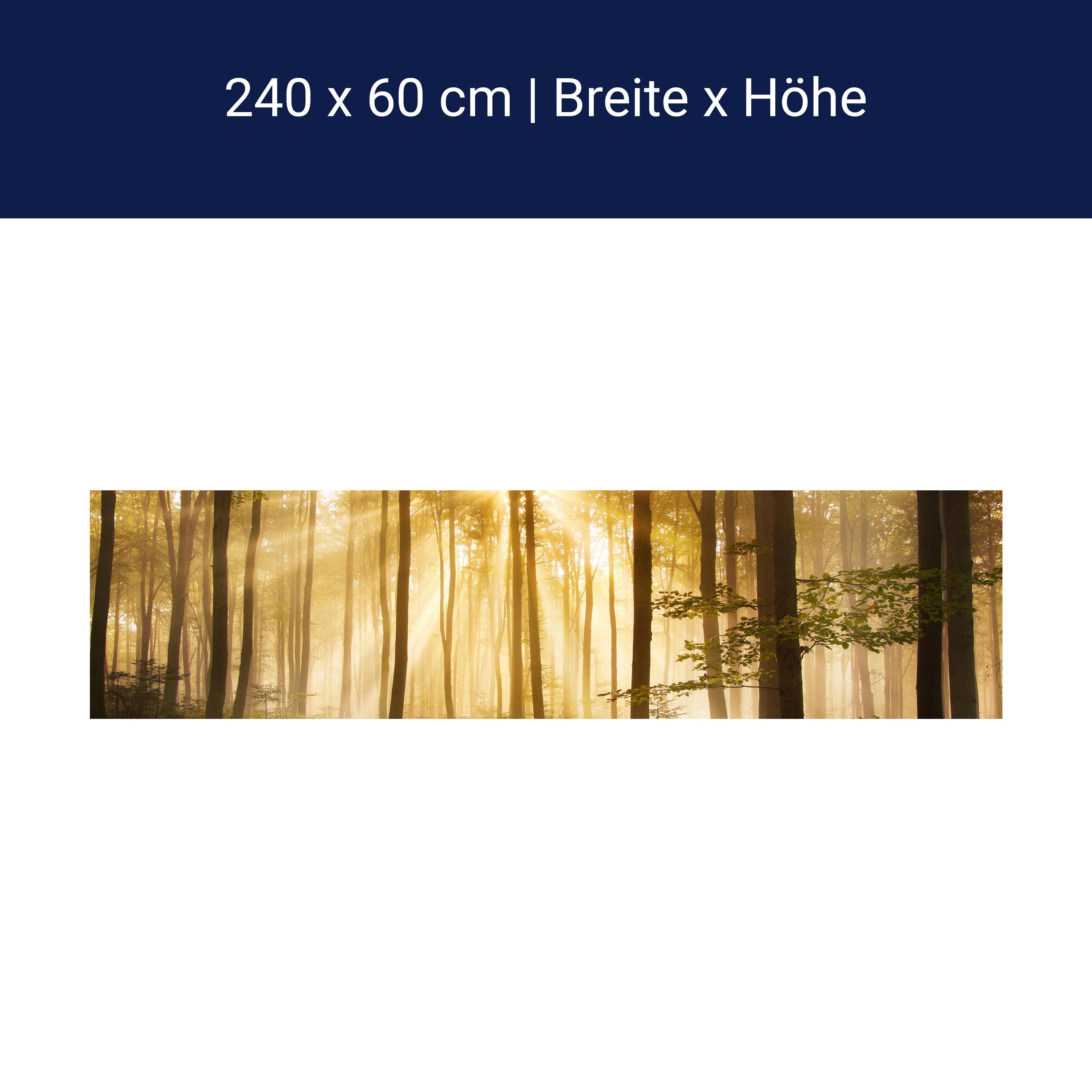 Küchenrückwand Wald am Morgen M0391 Küchenrückwand Wald am Morgen M0391