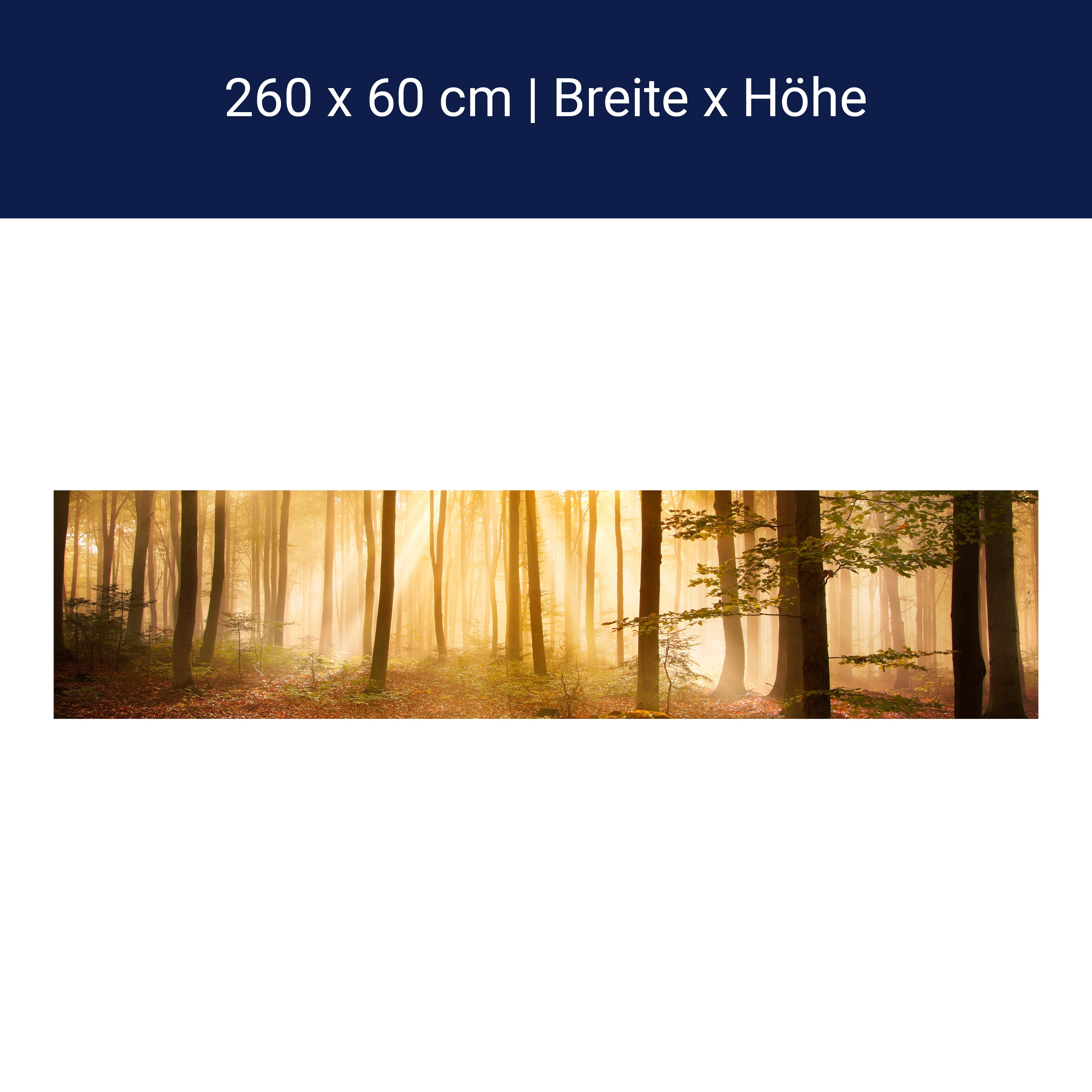 Küchenrückwand Wald am Morgen M0391 Küchenrückwand Wald am Morgen M0391