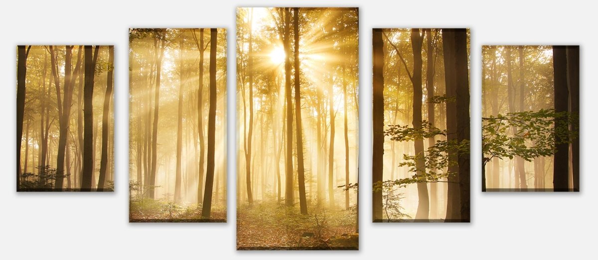 Leinwandbild Mehrteiler Wald am Morgen M0391 entdecken - Bild 1 Leinwandbild Mehrteiler Wald am Morgen M0391 entdecken - Bild 1