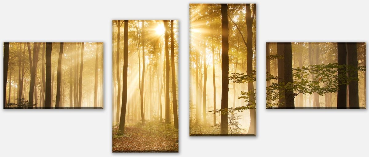 Leinwandbild Mehrteiler Wald am Morgen M0391 Leinwandbild Mehrteiler Wald am Morgen M0391