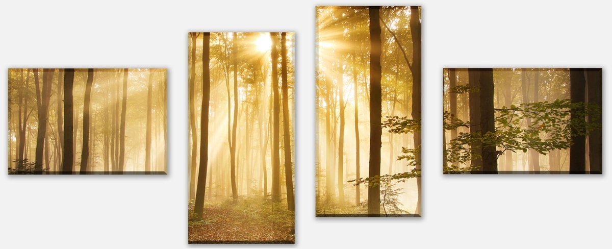 Leinwandbild Mehrteiler Wald am Morgen M0391 Leinwandbild Mehrteiler Wald am Morgen M0391