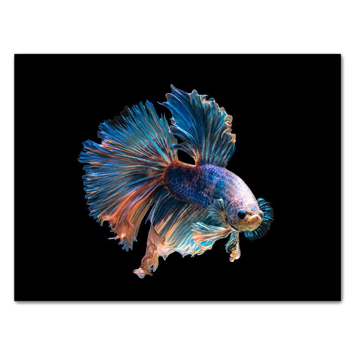 Leinwandbild Maritim, Querformat M0393 kaufen - Bild 1 Leinwandbild Maritim, Querformat M0393 kaufen - Bild 1