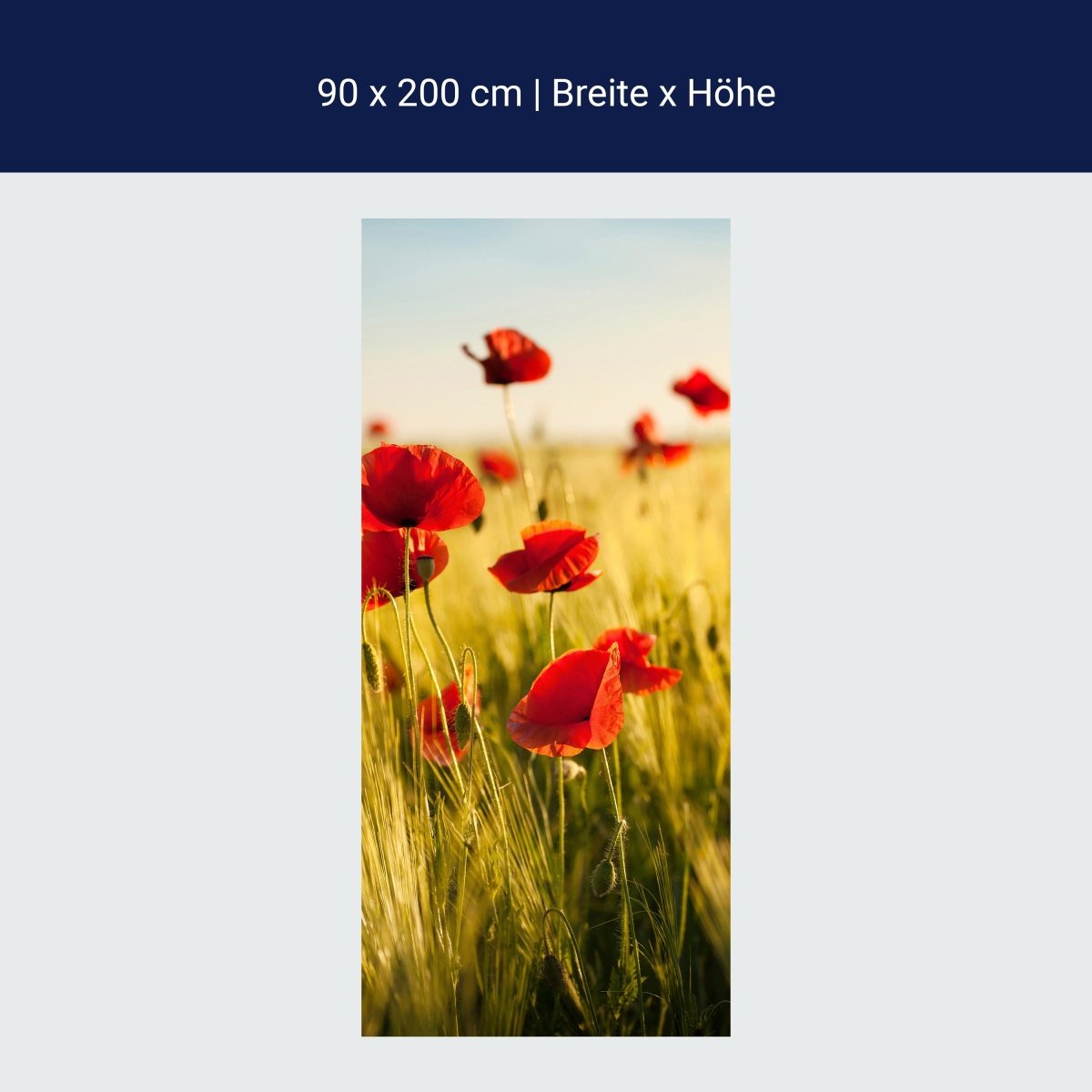 Duschwand Kornfeld mit Mohnblumen M0398 Duschwand Kornfeld mit Mohnblumen M0398