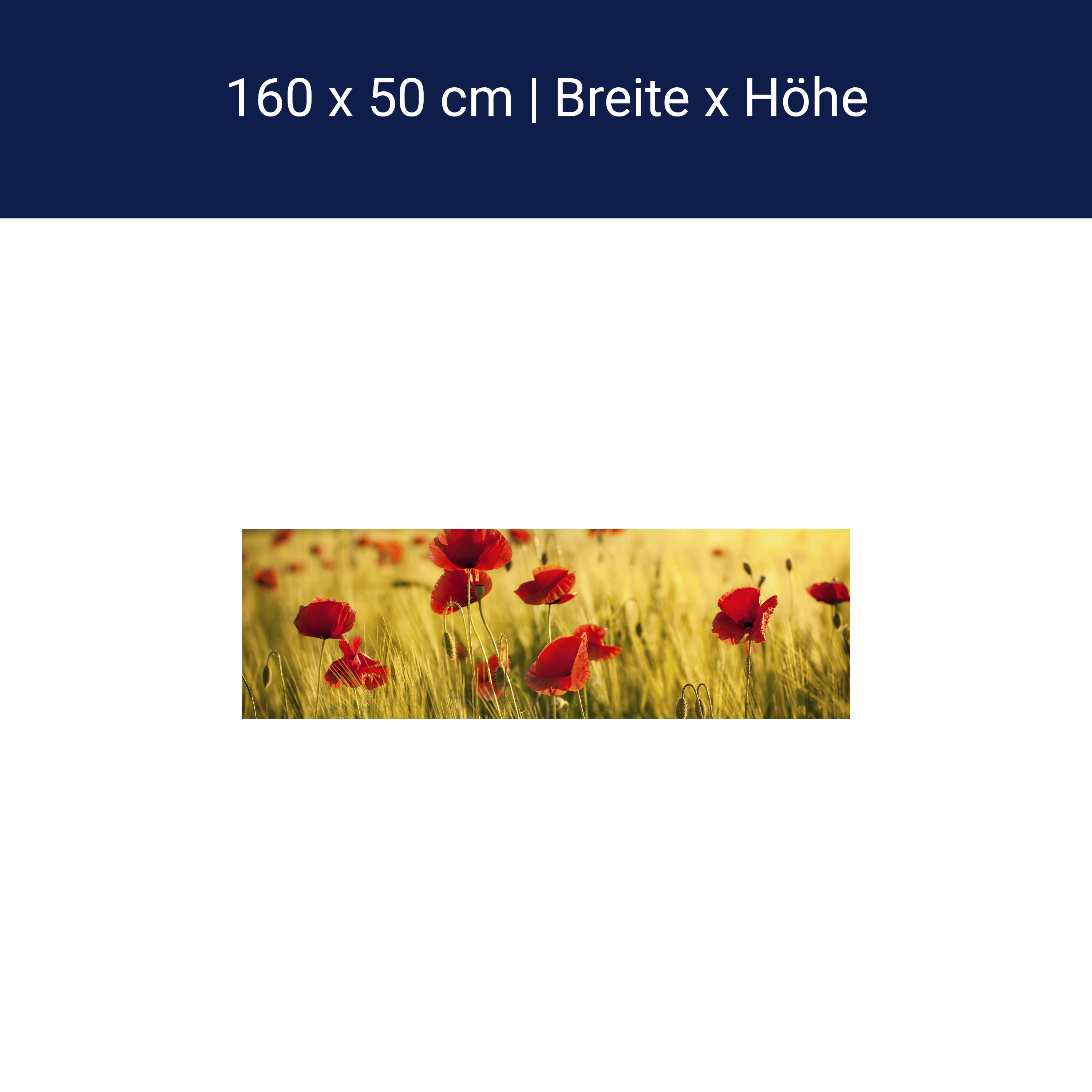 Küchenrückwand Kornfeld mit Mohnblumen M0398 Küchenrückwand Kornfeld mit Mohnblumen M0398