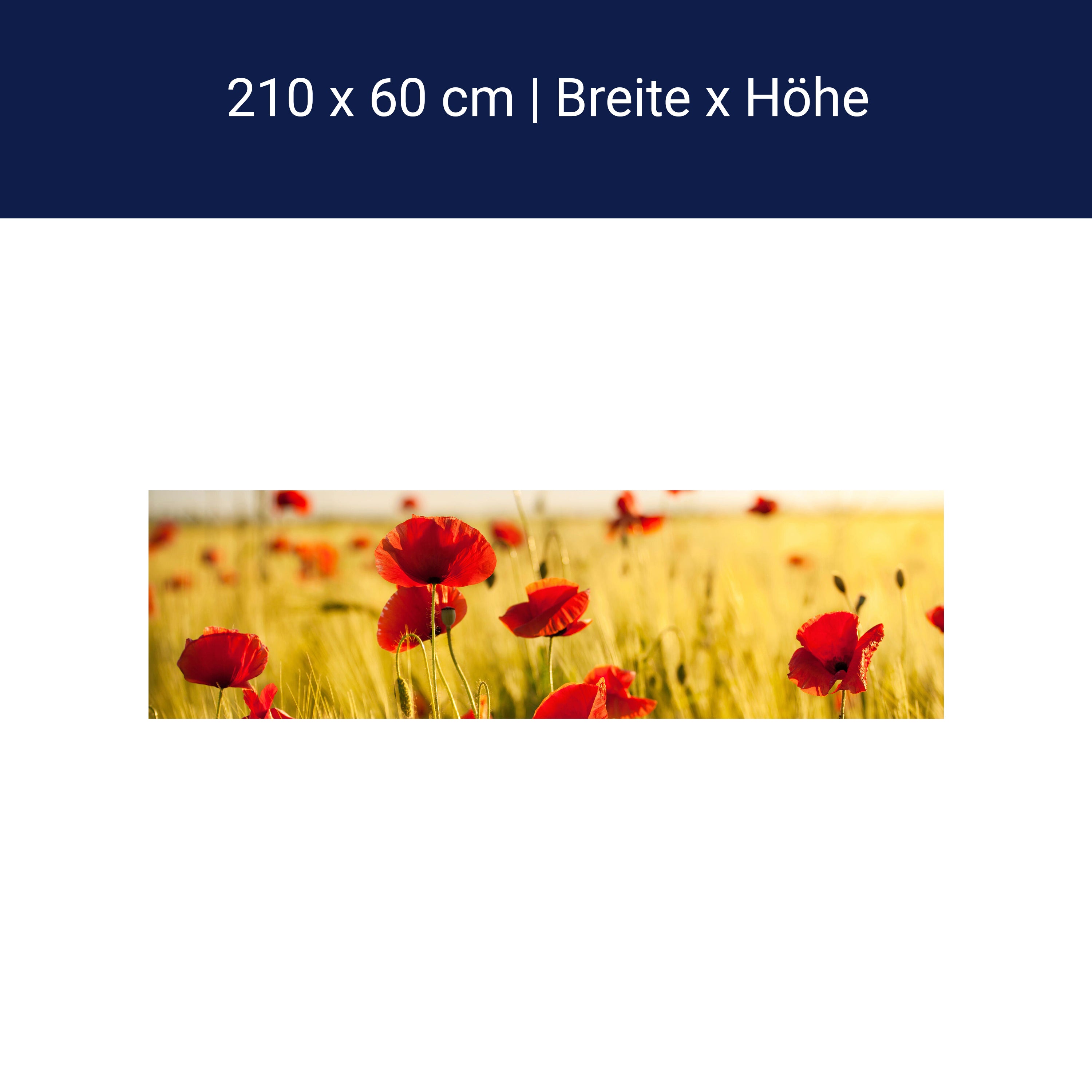 Küchenrückwand Kornfeld mit Mohnblumen M0398 Küchenrückwand Kornfeld mit Mohnblumen M0398