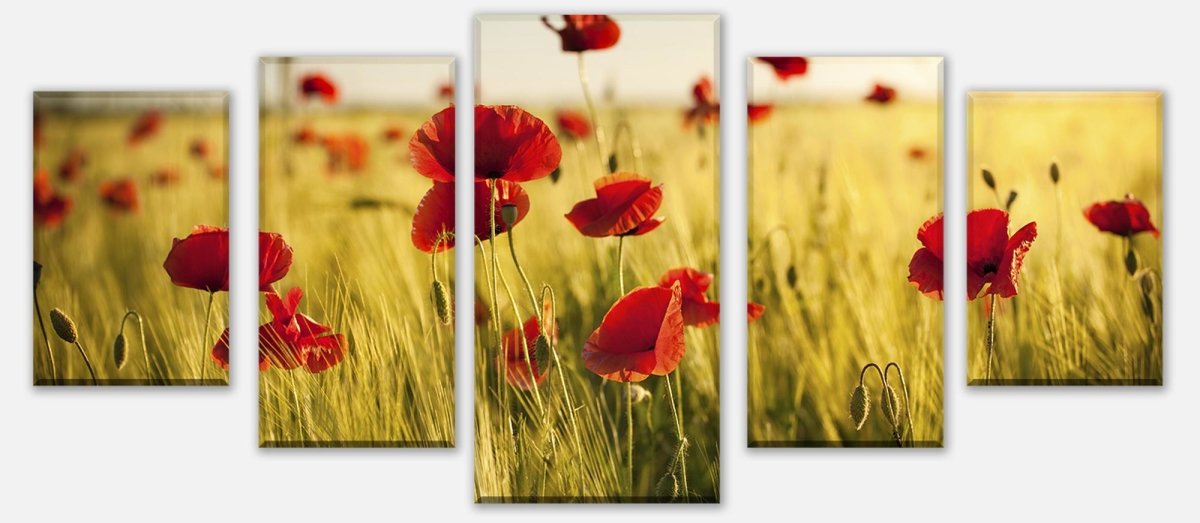 Leinwandbild Mehrteiler Kornfeld mit Mohnblumen M0398 entdecken - Bild 1 Leinwandbild Mehrteiler Kornfeld mit Mohnblumen M0398 entdecken - Bild 1