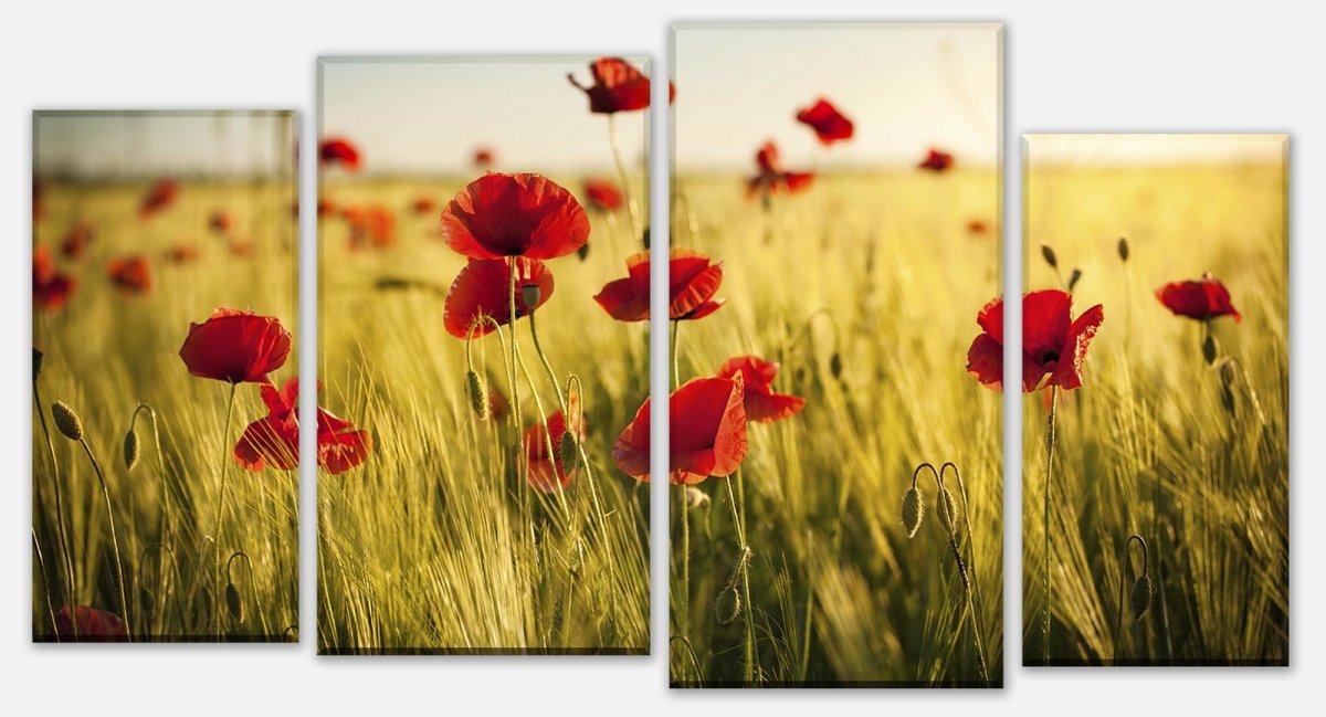 Leinwandbild Mehrteiler Kornfeld mit Mohnblumen M0398 Leinwandbild Mehrteiler Kornfeld mit Mohnblumen M0398