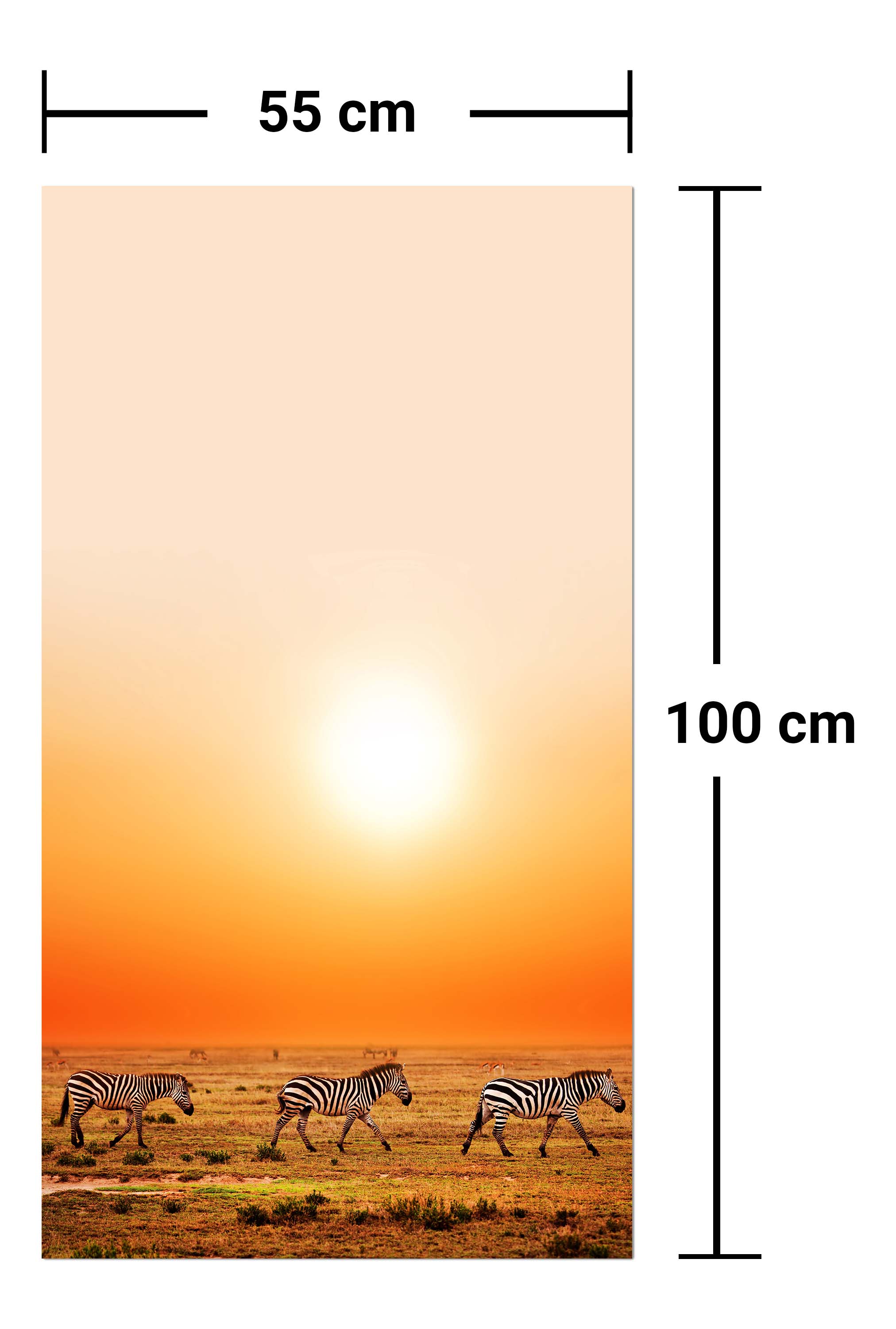 Garderobe Zebras in der Savanne M0403 entdecken - Bild 7 Garderobe Zebras in der Savanne M0403 entdecken - Bild 7