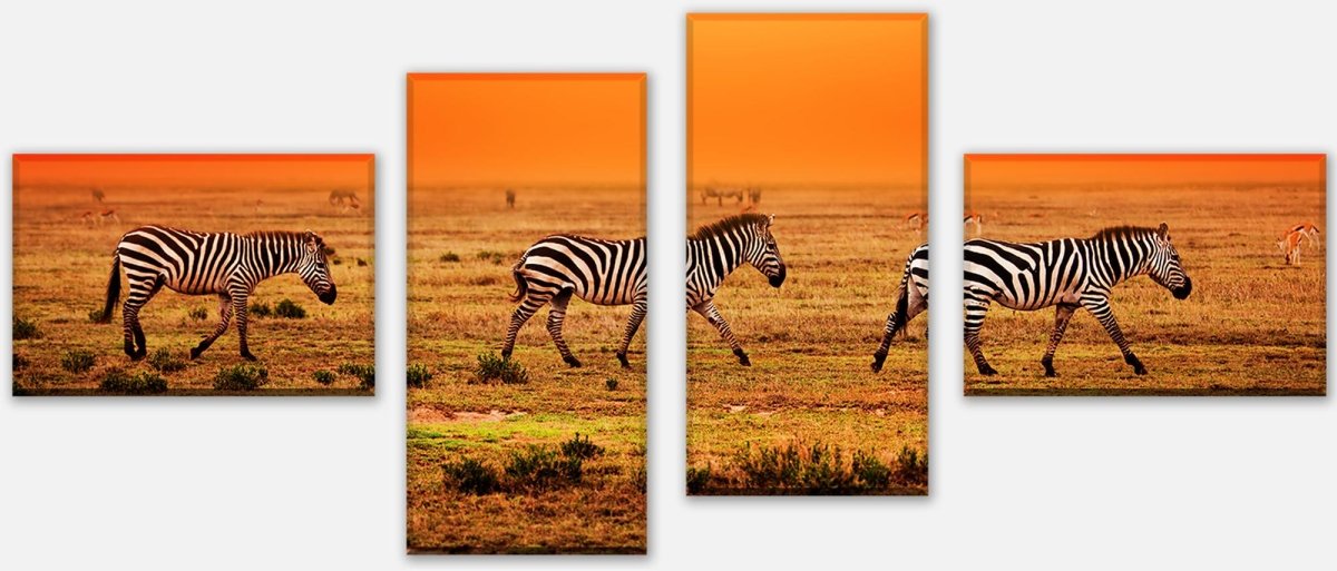Leinwandbild Mehrteiler Zebras in der Savanne M0403 Leinwandbild Mehrteiler Zebras in der Savanne M0403