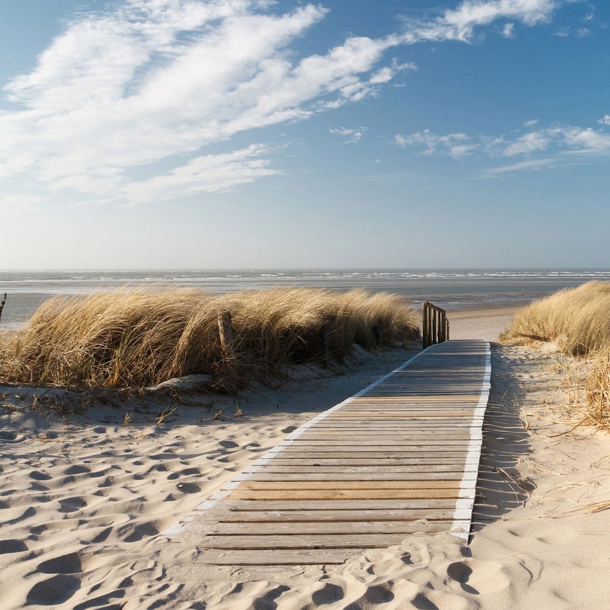 Beistelltisch Nordseestrand M0410 entdecken - Bild 2 Beistelltisch Nordseestrand M0410 entdecken - Bild 2