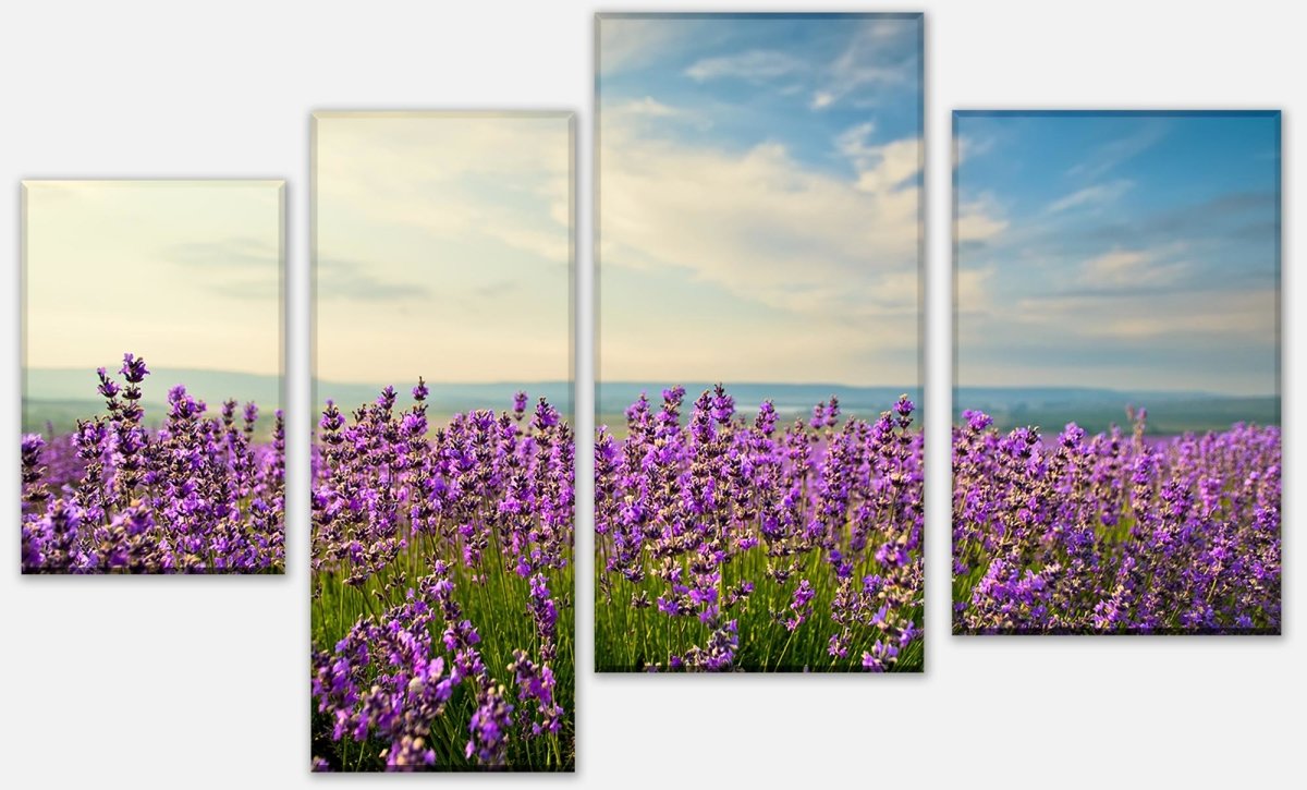 Leinwandbild Mehrteiler Lavendel M0411 Leinwandbild Mehrteiler Lavendel M0411