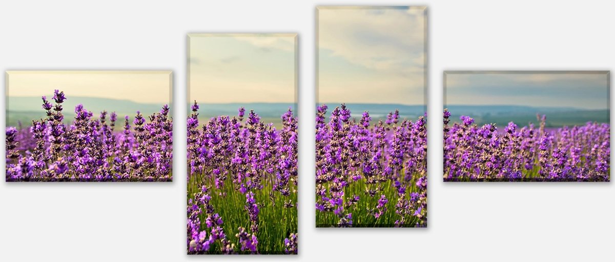 Leinwandbild Mehrteiler Lavendel M0411 Leinwandbild Mehrteiler Lavendel M0411