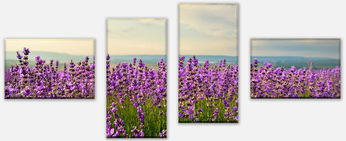 Leinwandbild Mehrteiler Lavendel M0411 Leinwandbild Mehrteiler Lavendel M0411