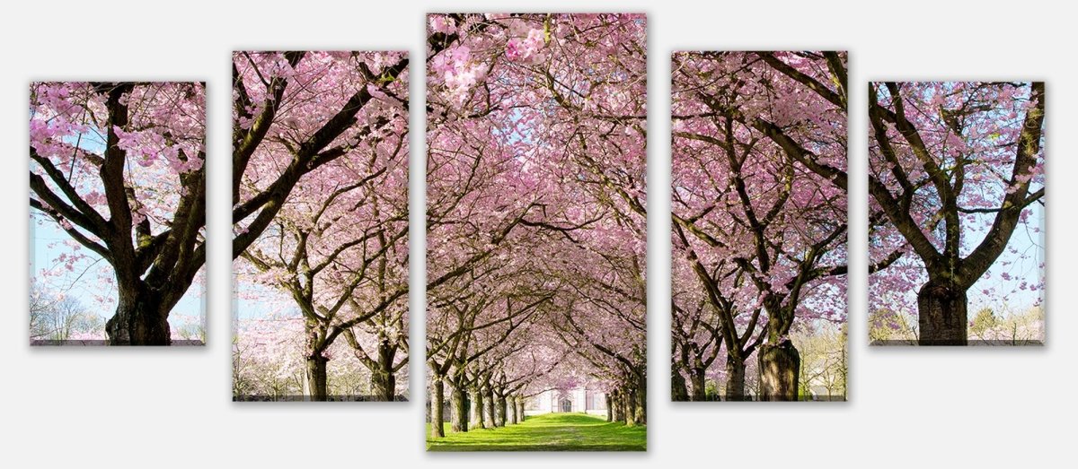 Leinwandbild Mehrteiler Kirschbaumallee M0412 entdecken - Bild 1 Leinwandbild Mehrteiler Kirschbaumallee M0412 entdecken - Bild 1