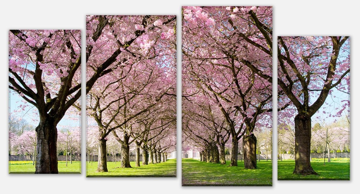Leinwandbild Mehrteiler Kirschbaumallee M0412 Leinwandbild Mehrteiler Kirschbaumallee M0412