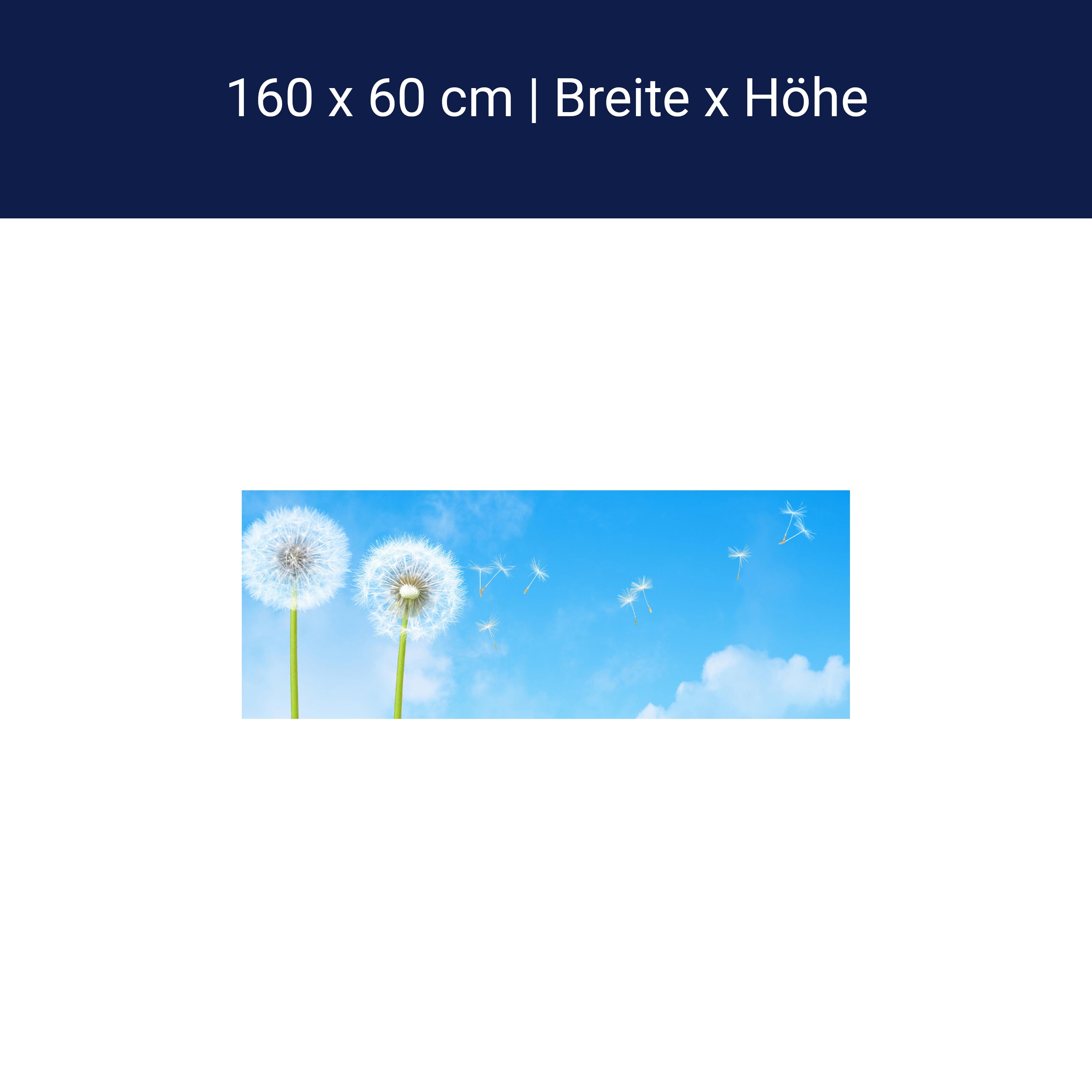 Küchenrückwand Pusteblumen M0416 Küchenrückwand Pusteblumen M0416