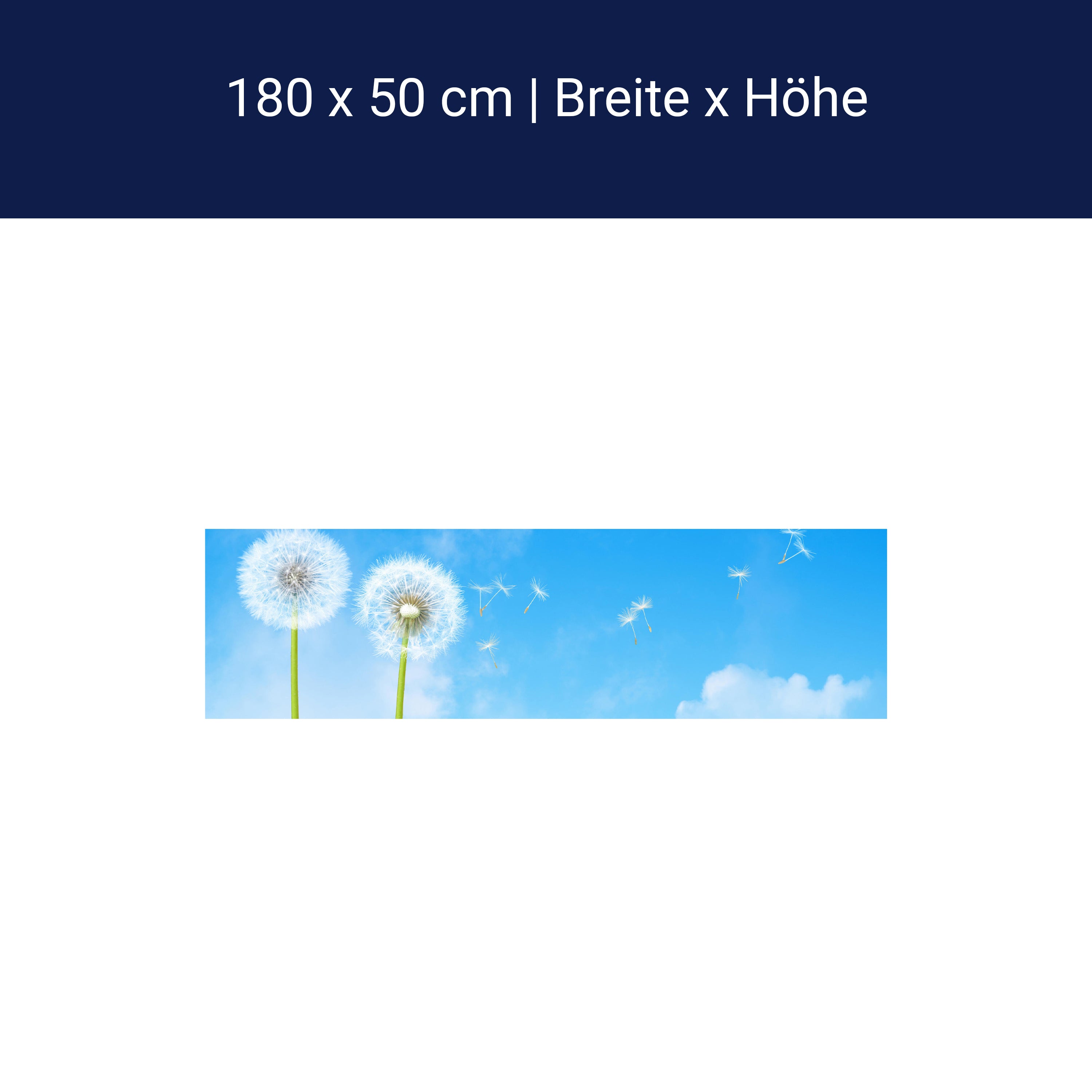 Küchenrückwand Pusteblumen M0416 Küchenrückwand Pusteblumen M0416