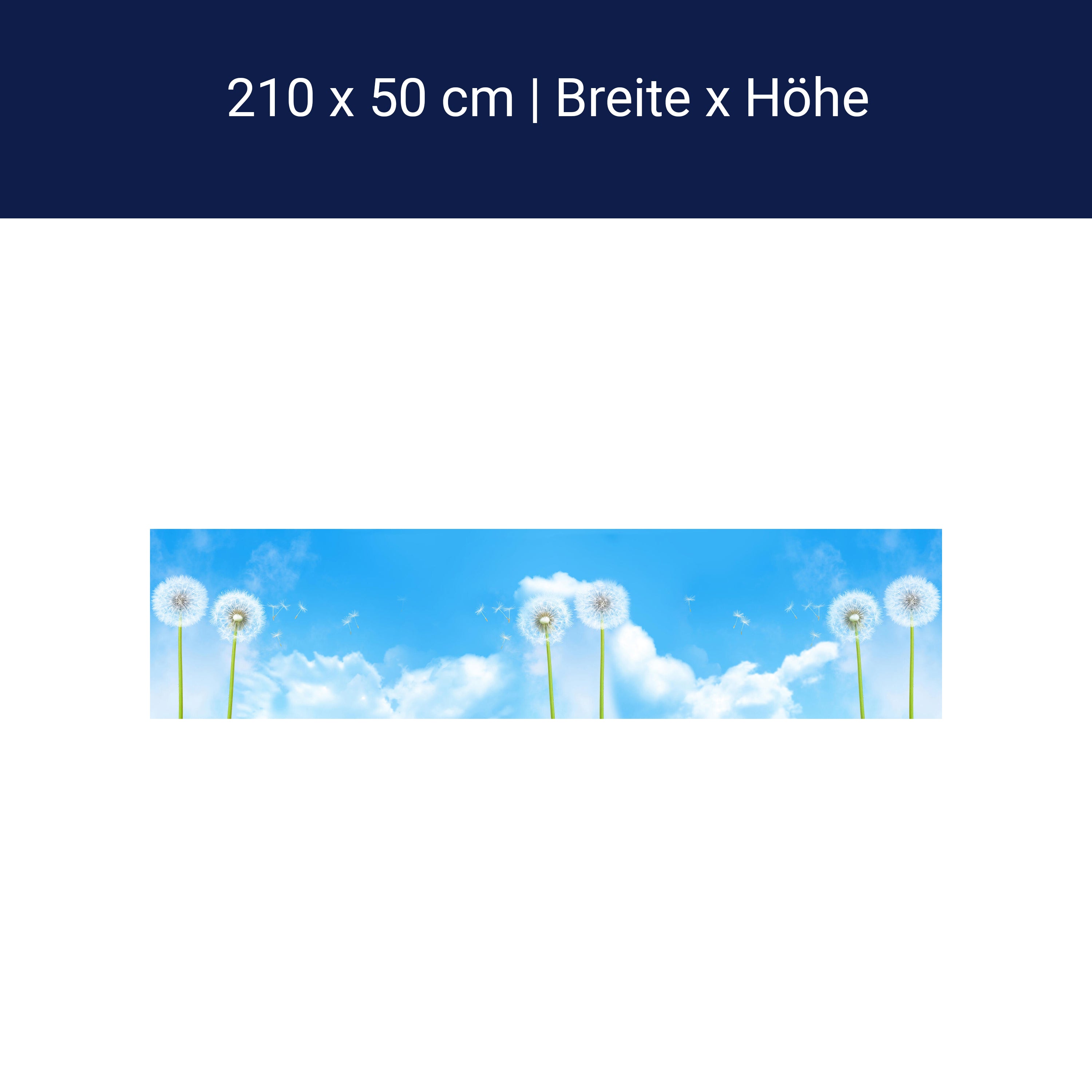 Küchenrückwand Pusteblumen M0416 Küchenrückwand Pusteblumen M0416