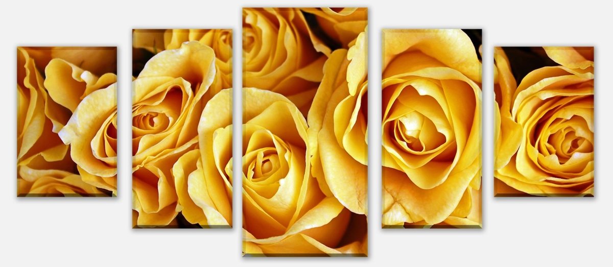Leinwandbild Mehrteiler Gelbe Rosen M0462 entdecken - Bild 1 Leinwandbild Mehrteiler Gelbe Rosen M0462 entdecken - Bild 1