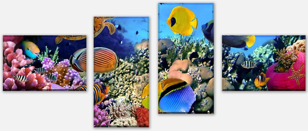Leinwandbild Mehrteiler Korallenriff mit Fischen M0480 Leinwandbild Mehrteiler Korallenriff mit Fischen M0480