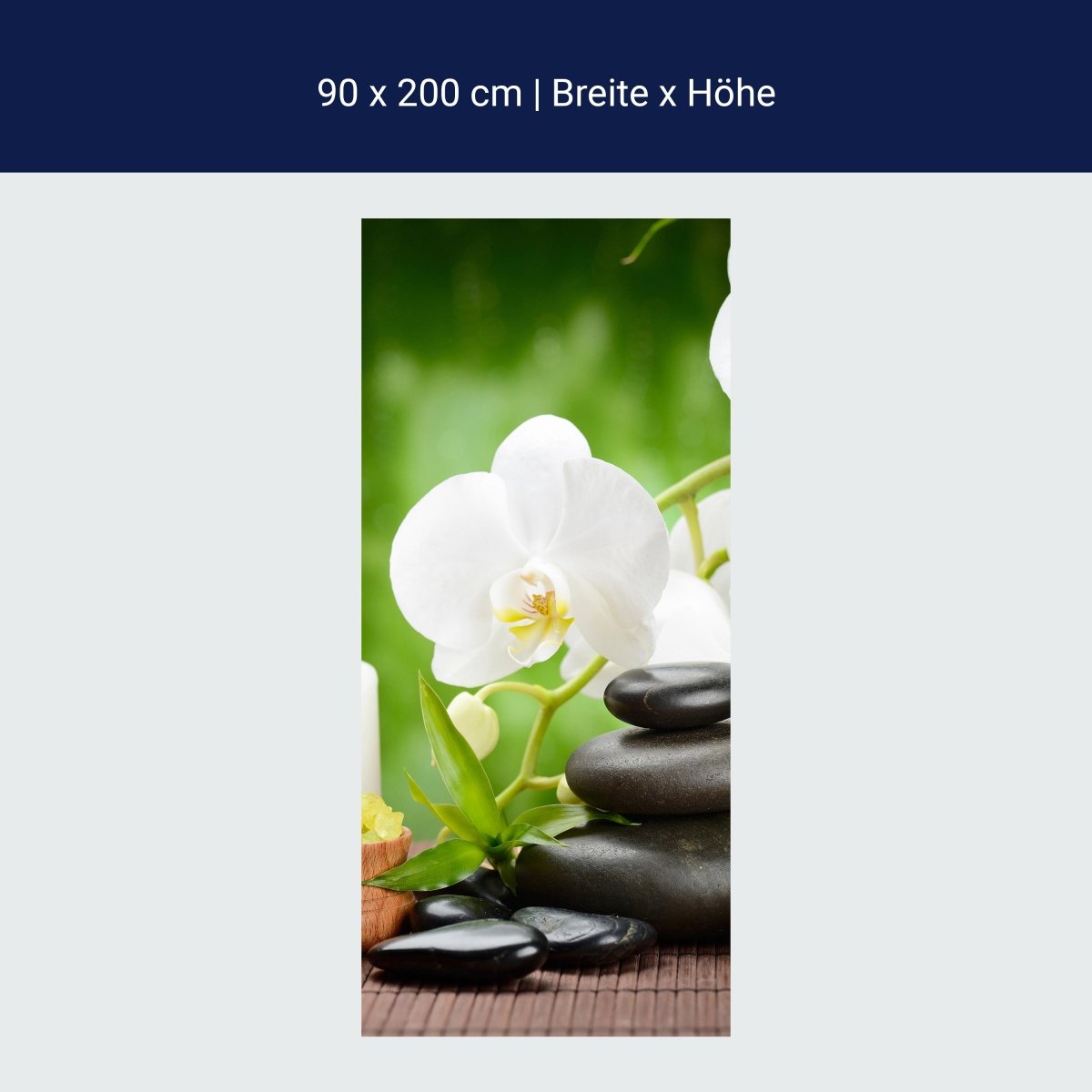 Duschwand Wellness M0491 Duschwand Wellness M0491