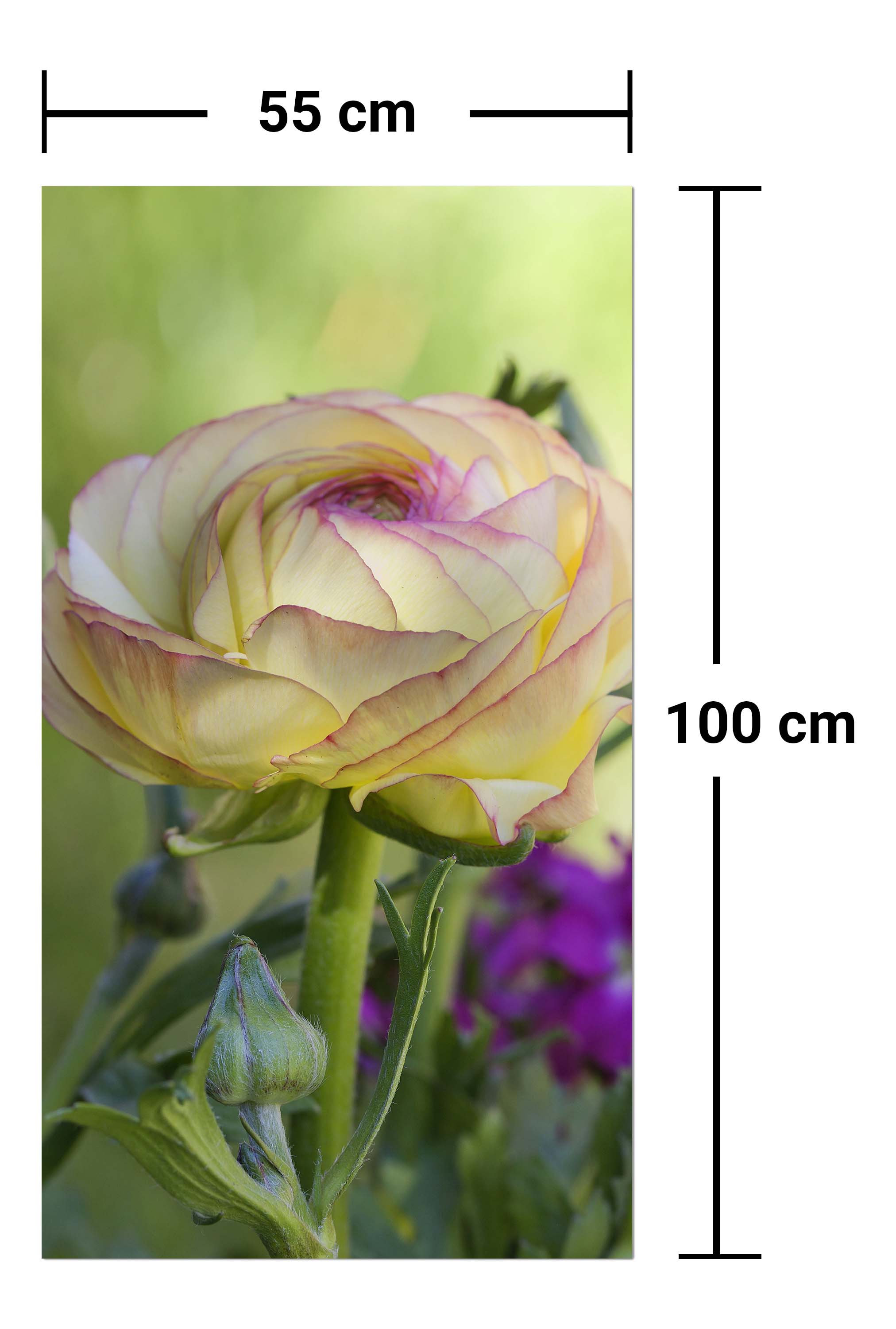 Garderobe Ranunkel M0492 entdecken - Bild 7 Garderobe Ranunkel M0492 entdecken - Bild 7