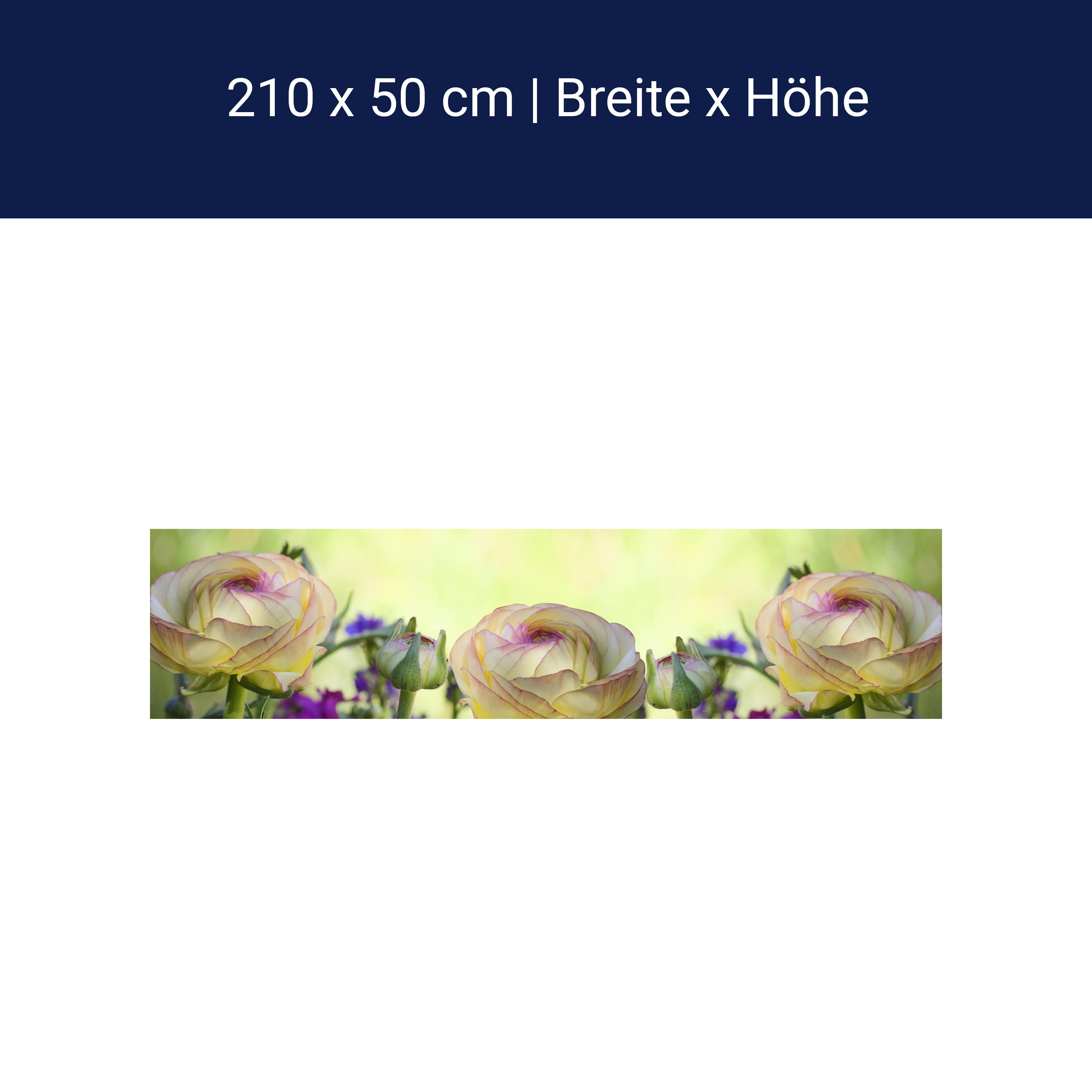 Küchenrückwand Ranunkel M0492 Küchenrückwand Ranunkel M0492